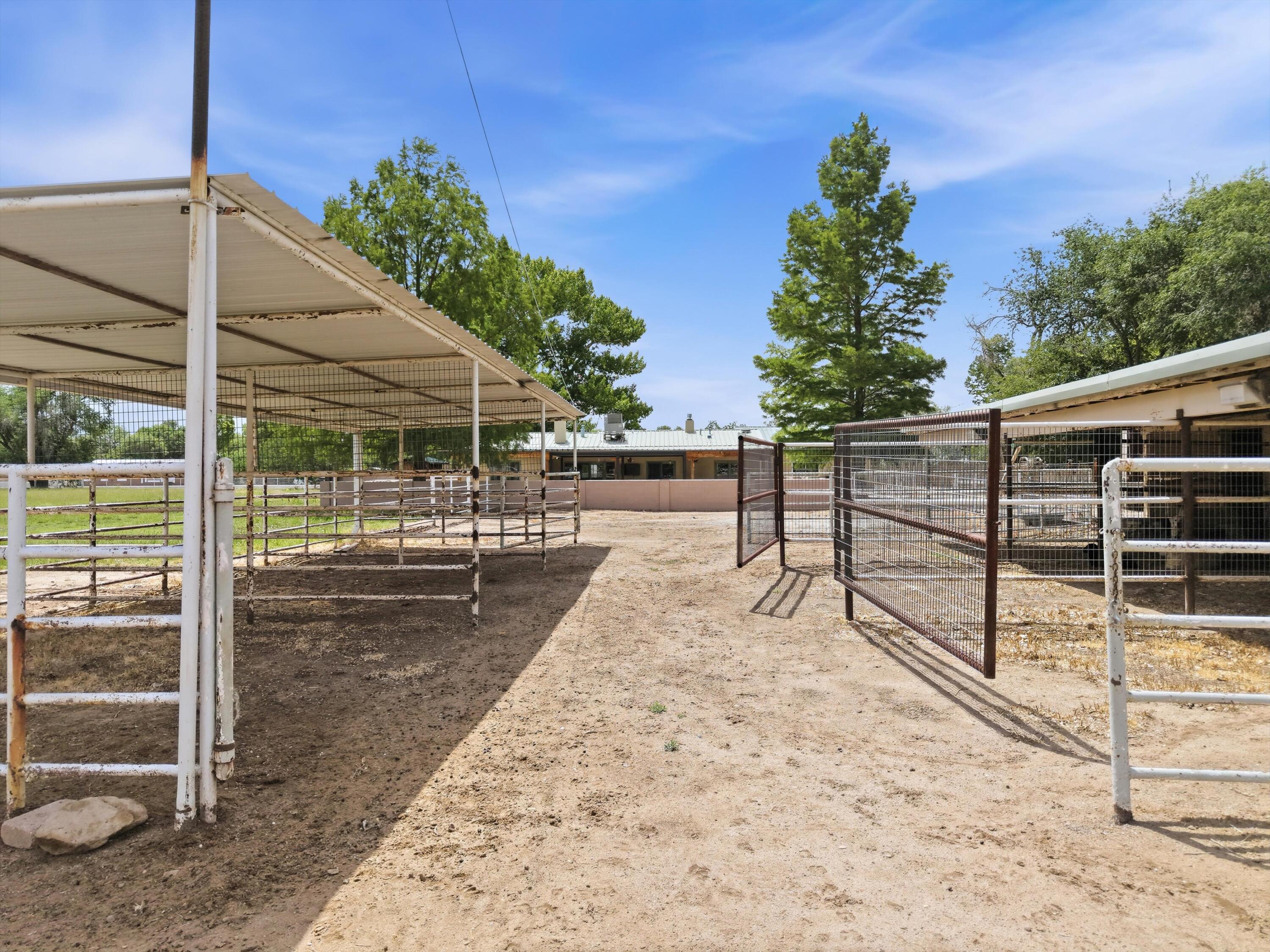 Photo 4 — 1600 W Bosque Loop