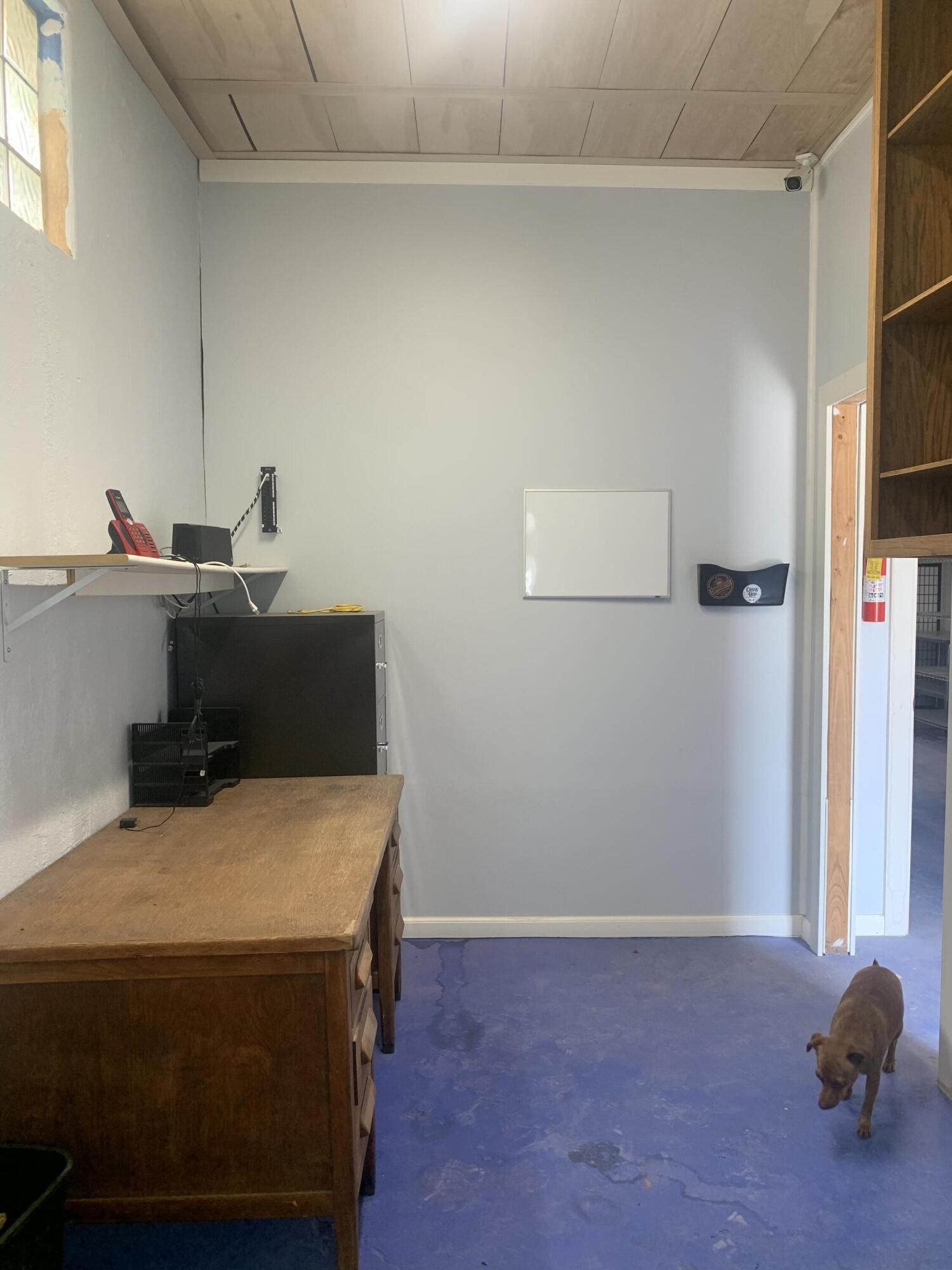 Photo 2 — 718 Dalies Avenue