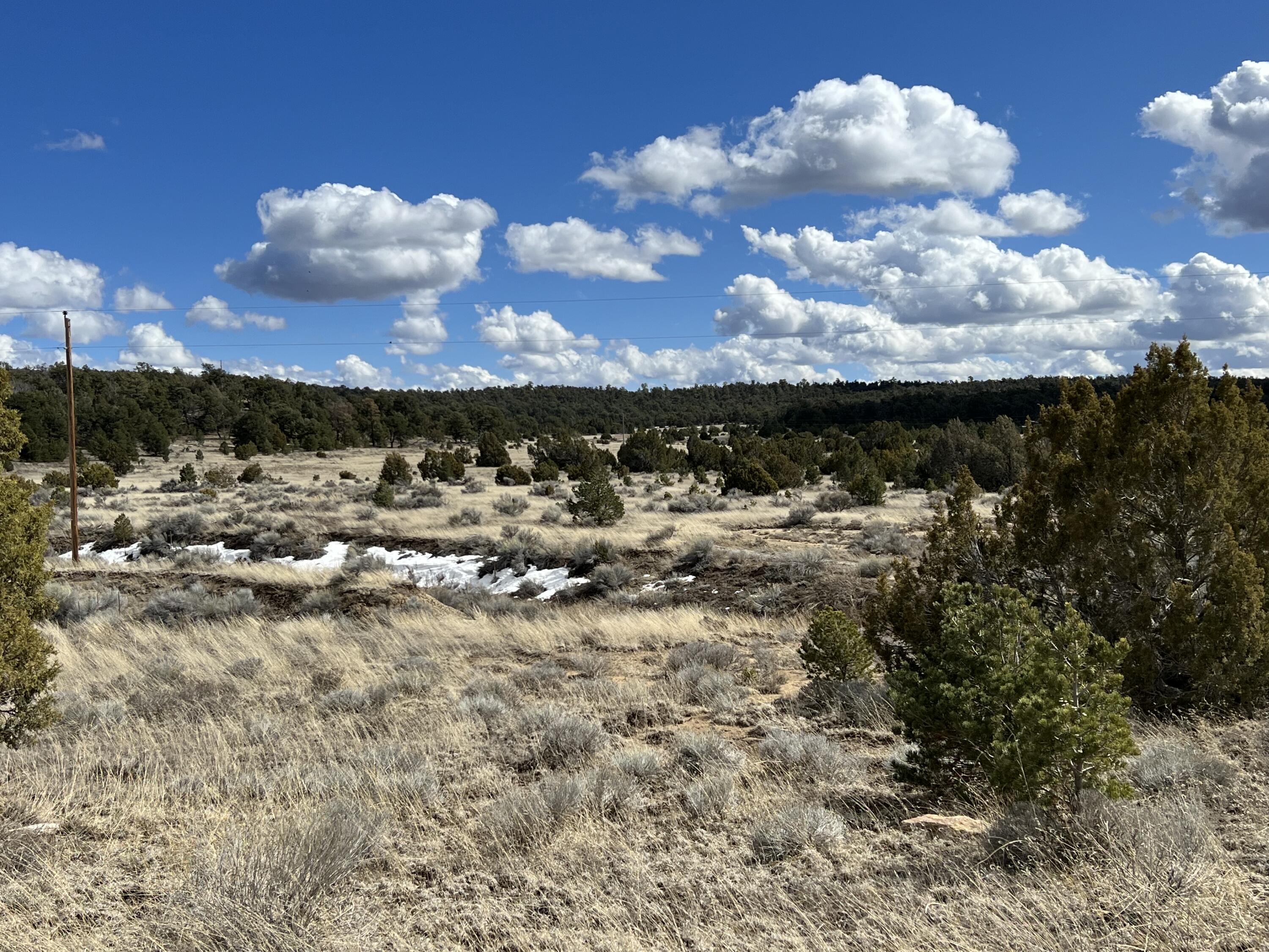 Photo 20 — Lot 14 Candy Kitchen Road