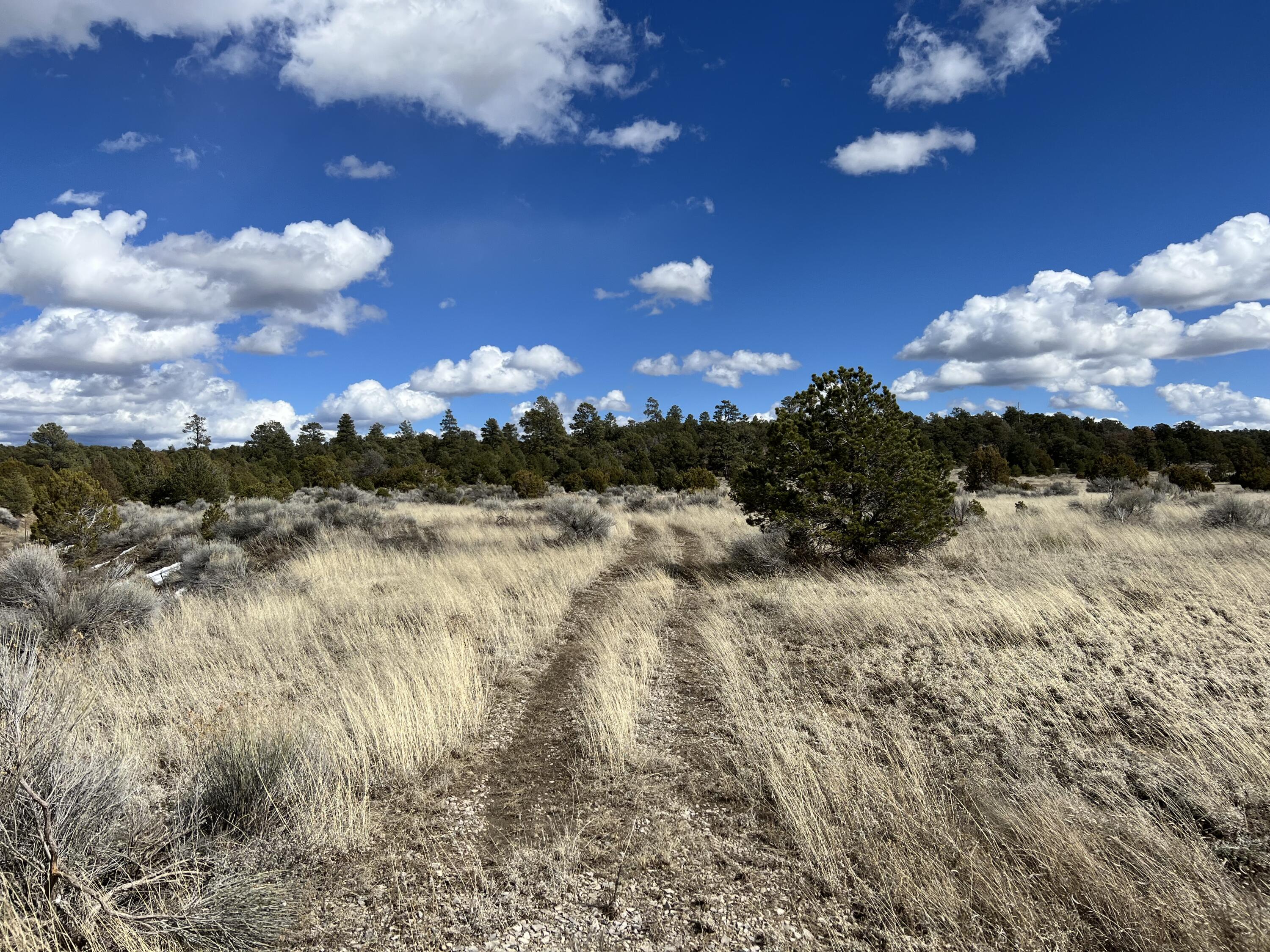 Photo 18 — Lot 14 Candy Kitchen Road