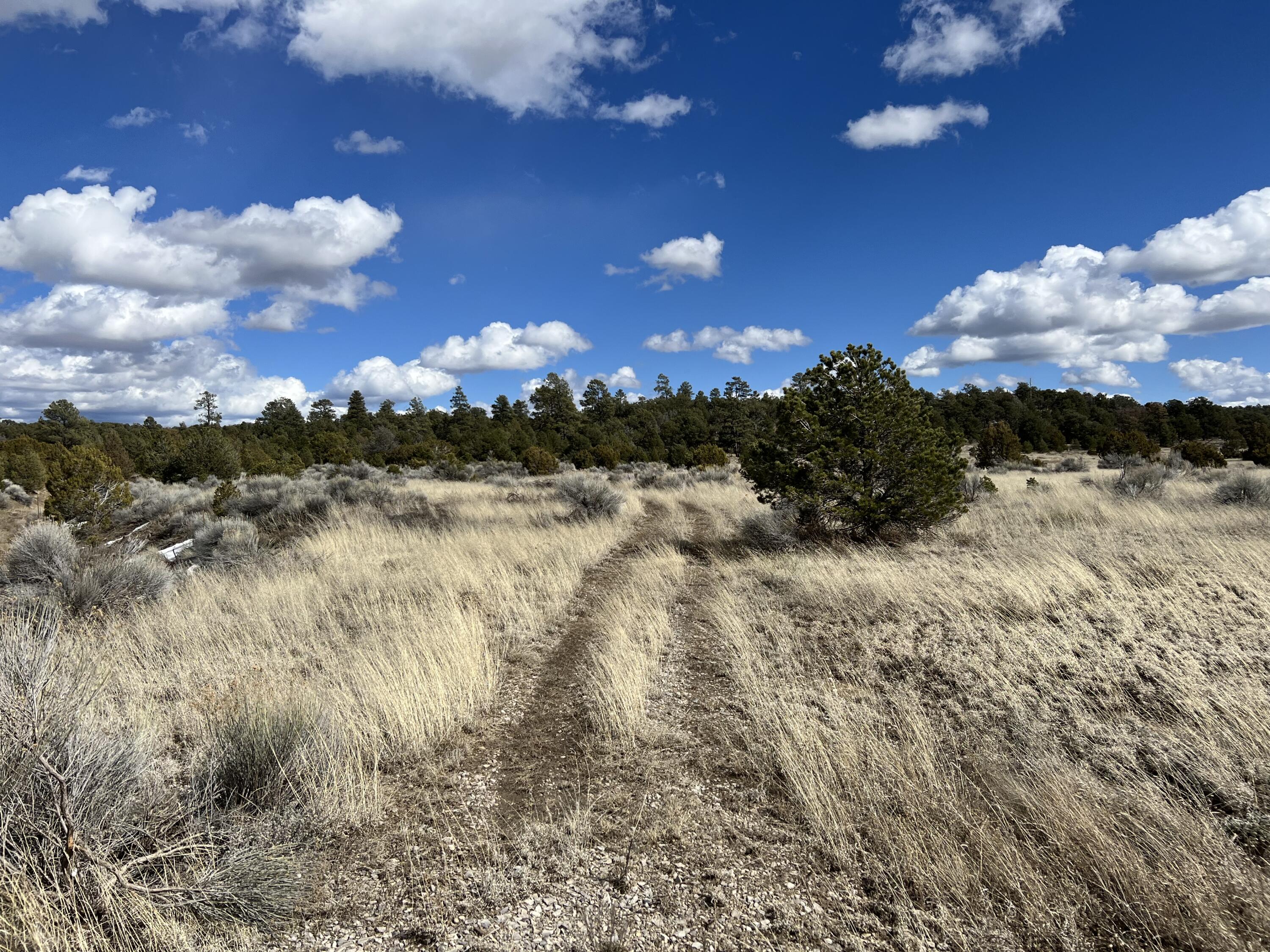 Photo 17 — Lot 14 Candy Kitchen Road