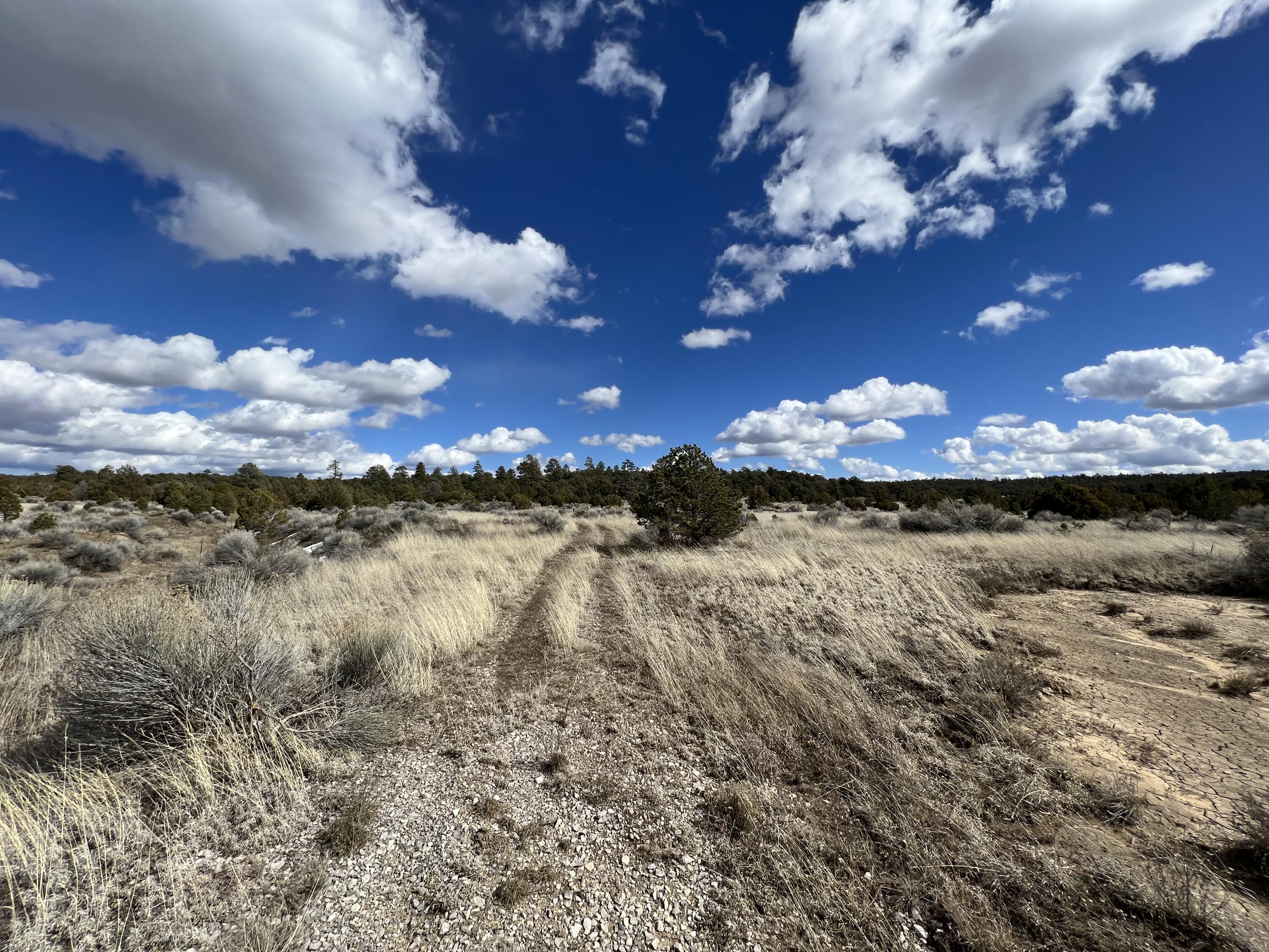 Photo 16 — Lot 14 Candy Kitchen Road