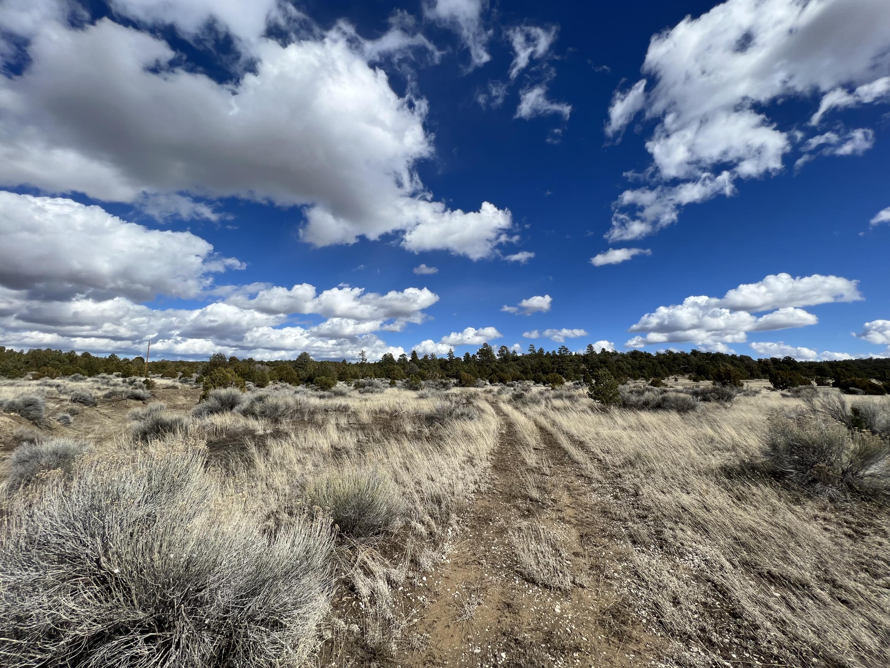 Photo 15 — Lot 14 Candy Kitchen Road