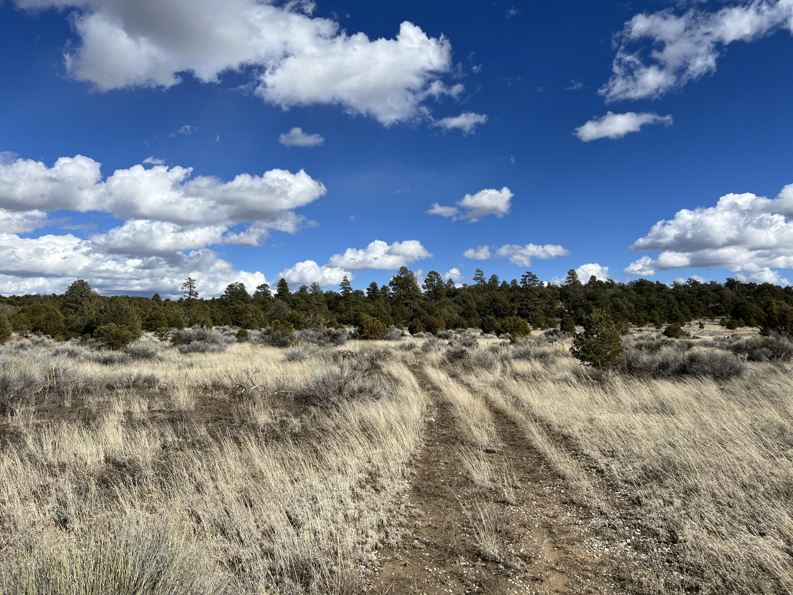 Photo 14 — Lot 14 Candy Kitchen Road