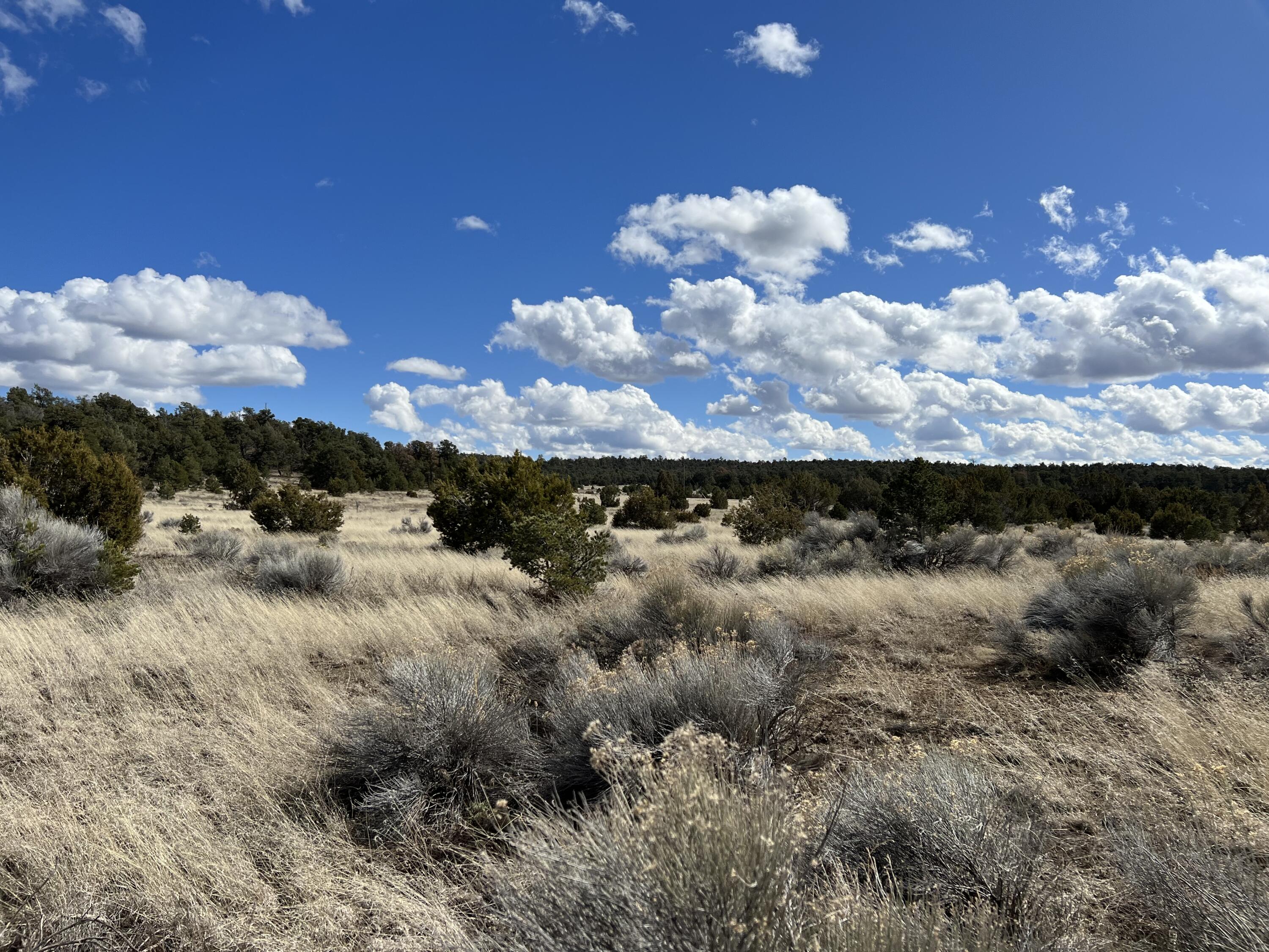 Photo 12 — Lot 14 Candy Kitchen Road