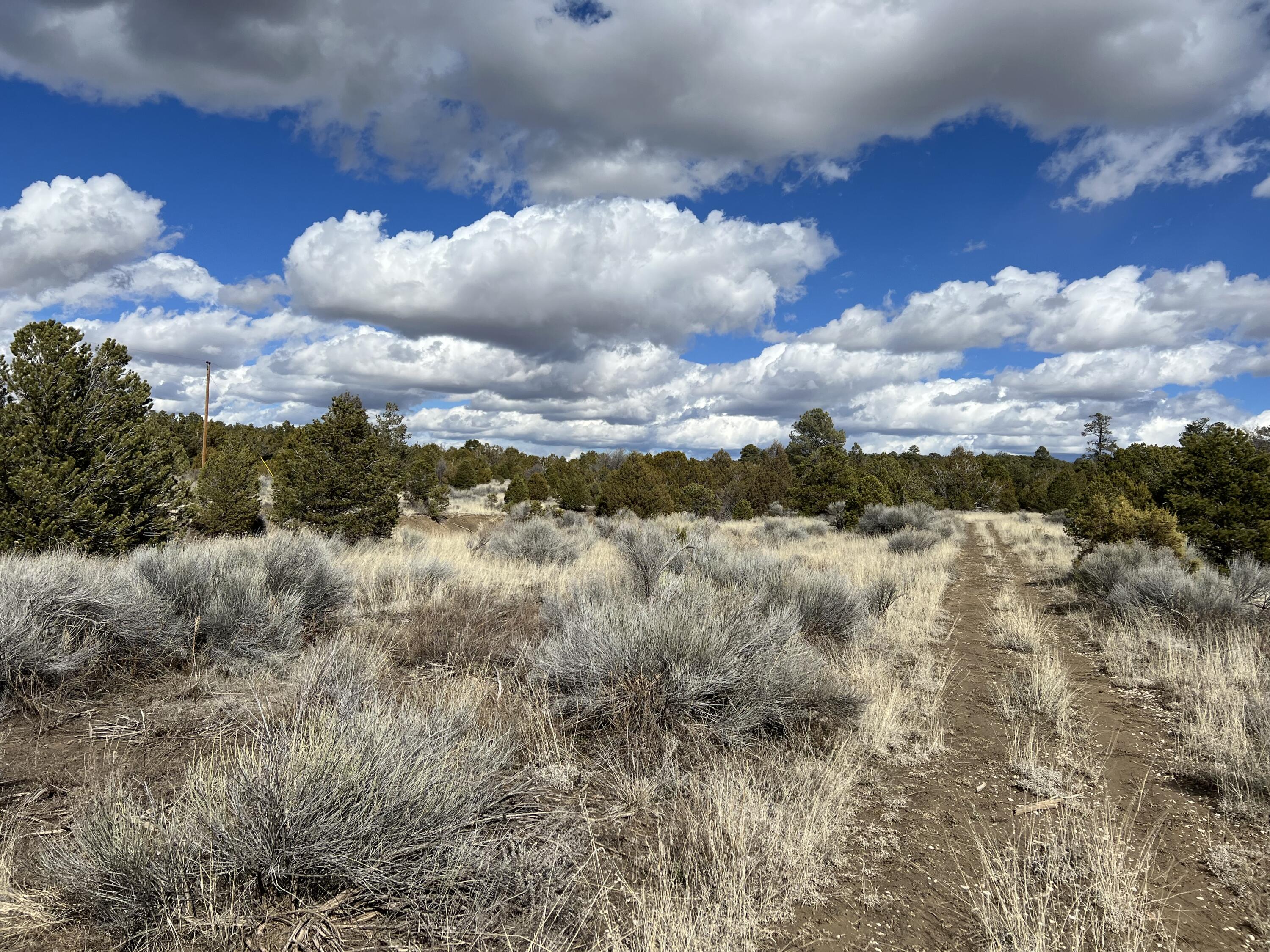 Photo 11 — Lot 14 Candy Kitchen Road