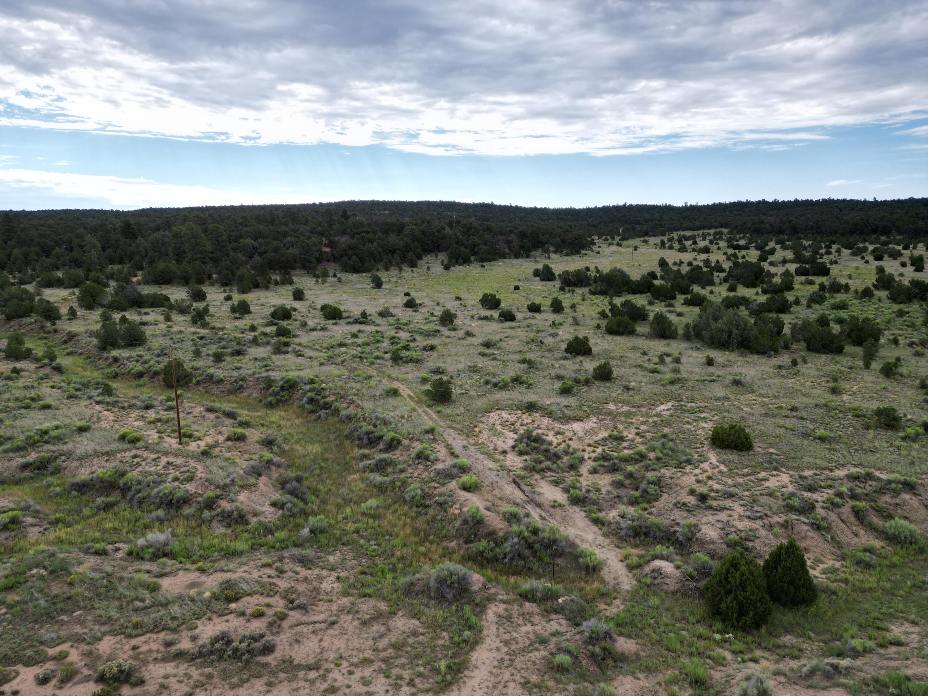 Photo 10 — Lot 14 Candy Kitchen Road