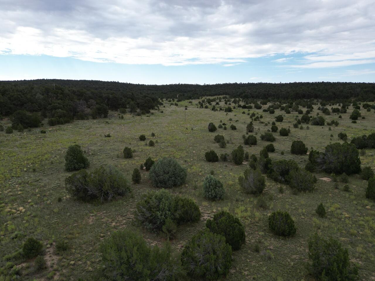 Photo 9 — Lot 14 Candy Kitchen Road