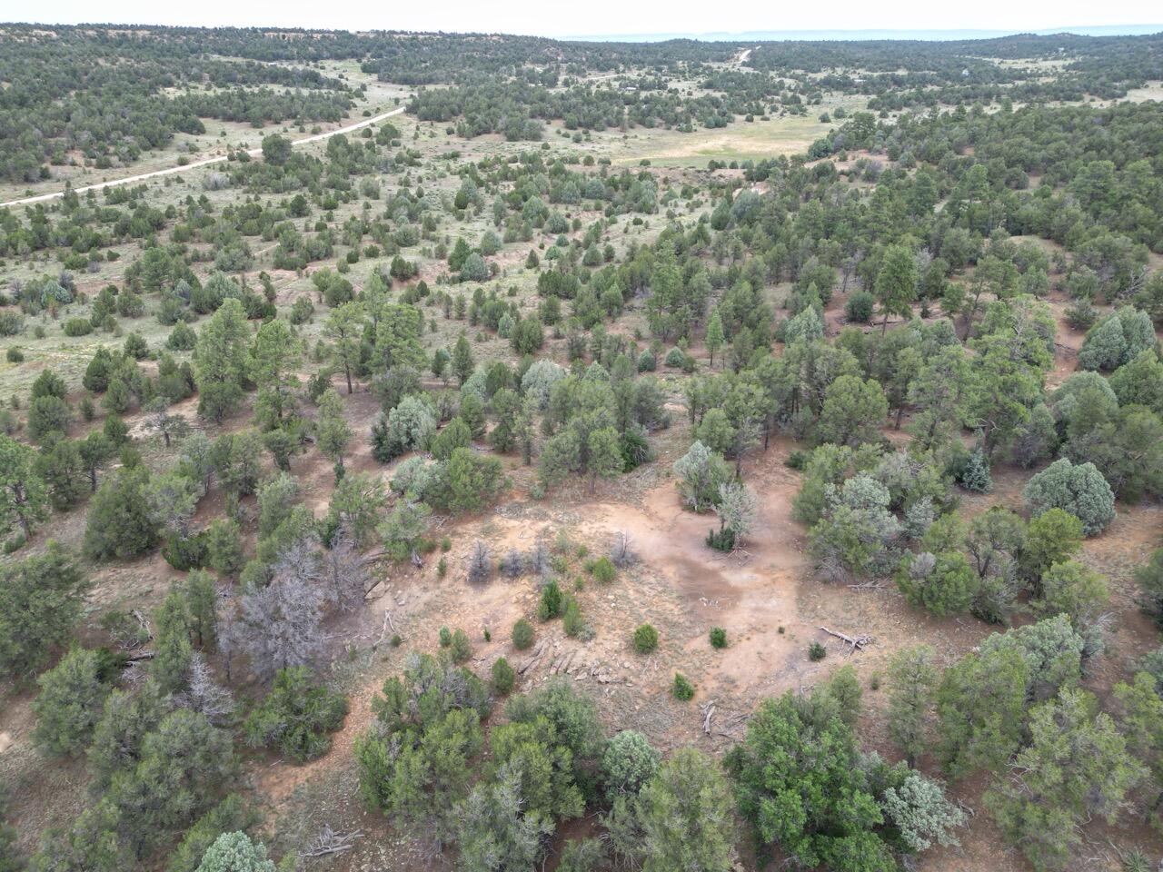 Photo 4 — Lot 14 Candy Kitchen Road