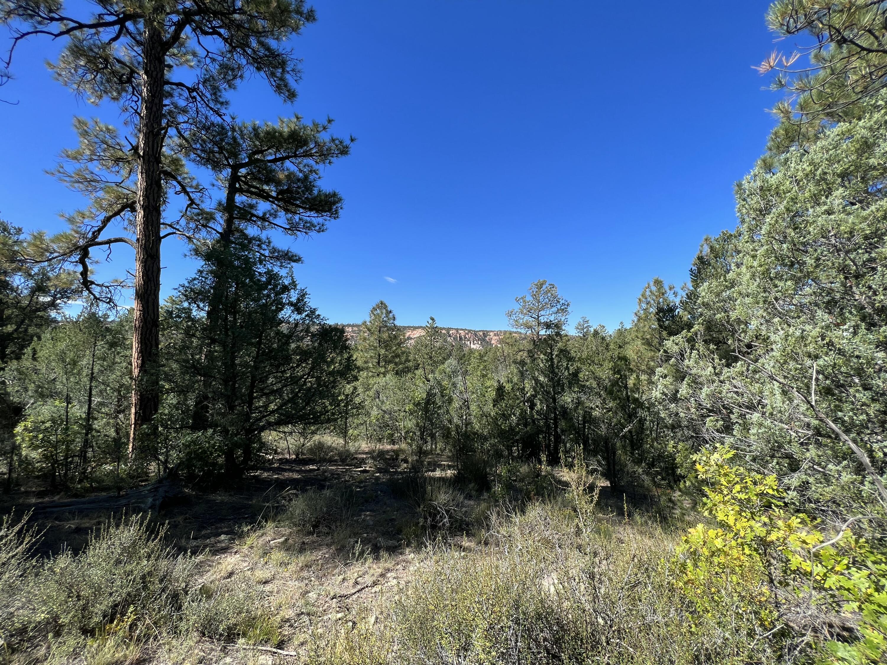 Photo 16 — 18 Quail Drive