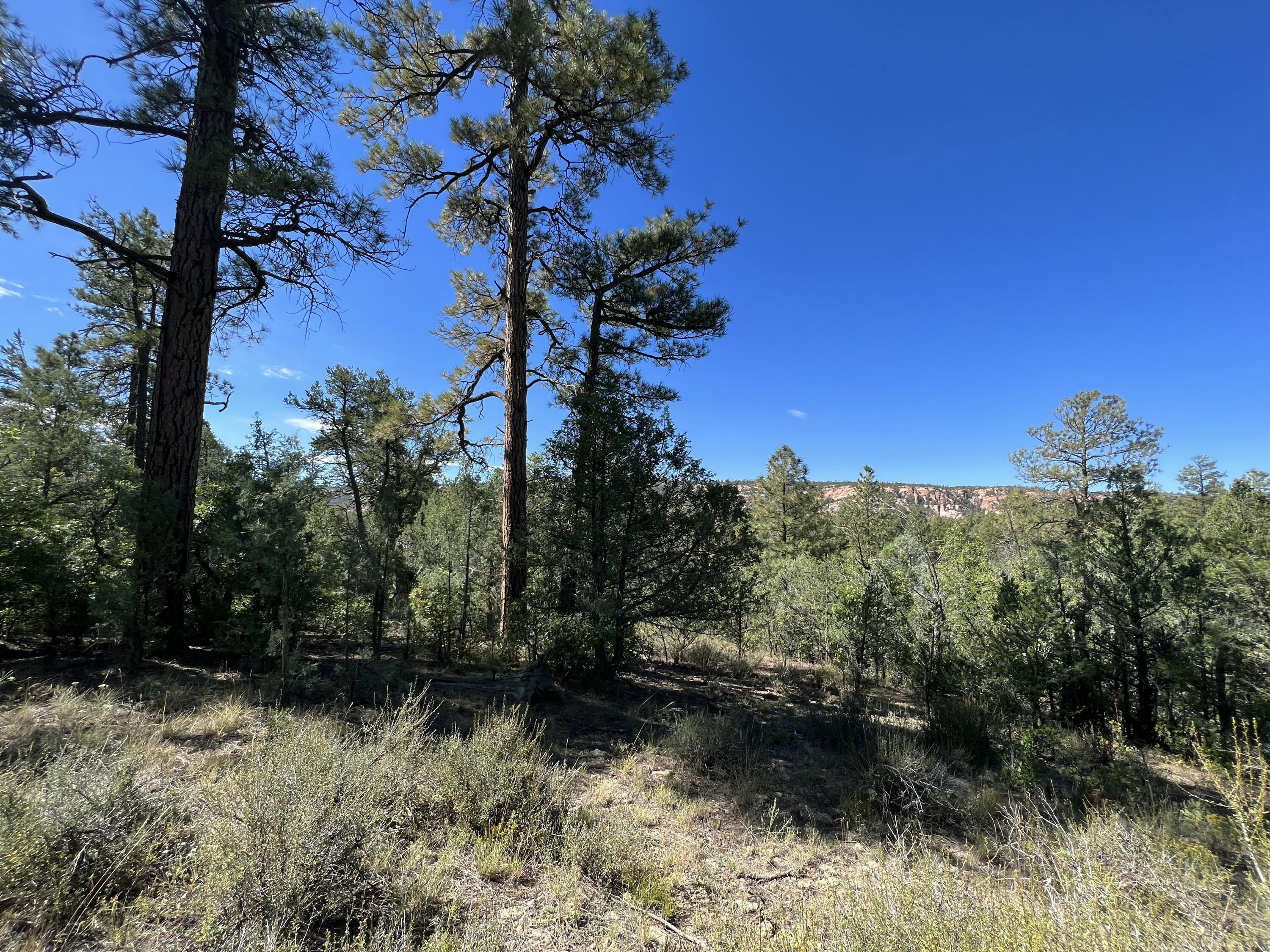 Photo 17 — 18 Quail Drive