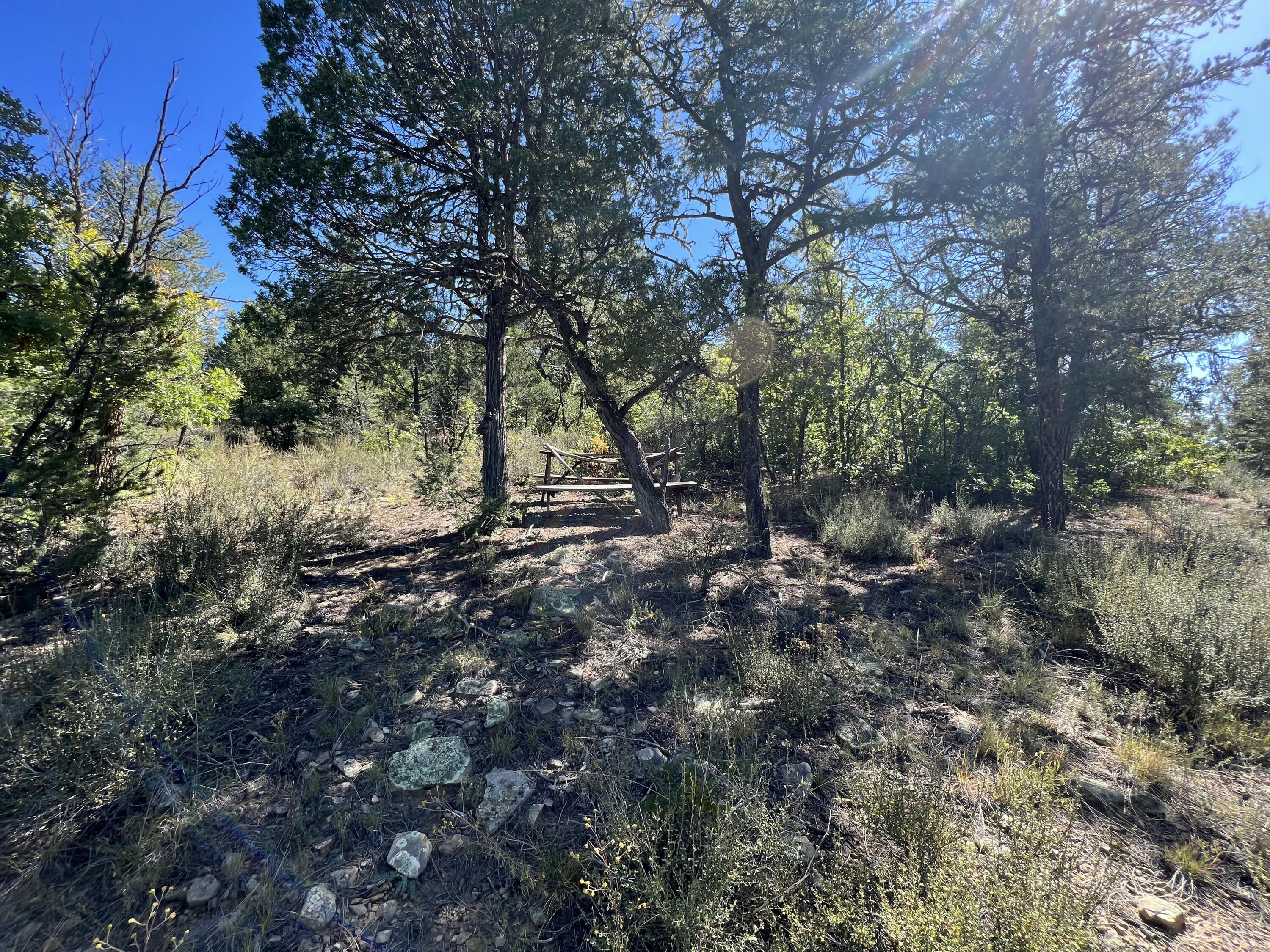 Photo 18 — 18 Quail Drive
