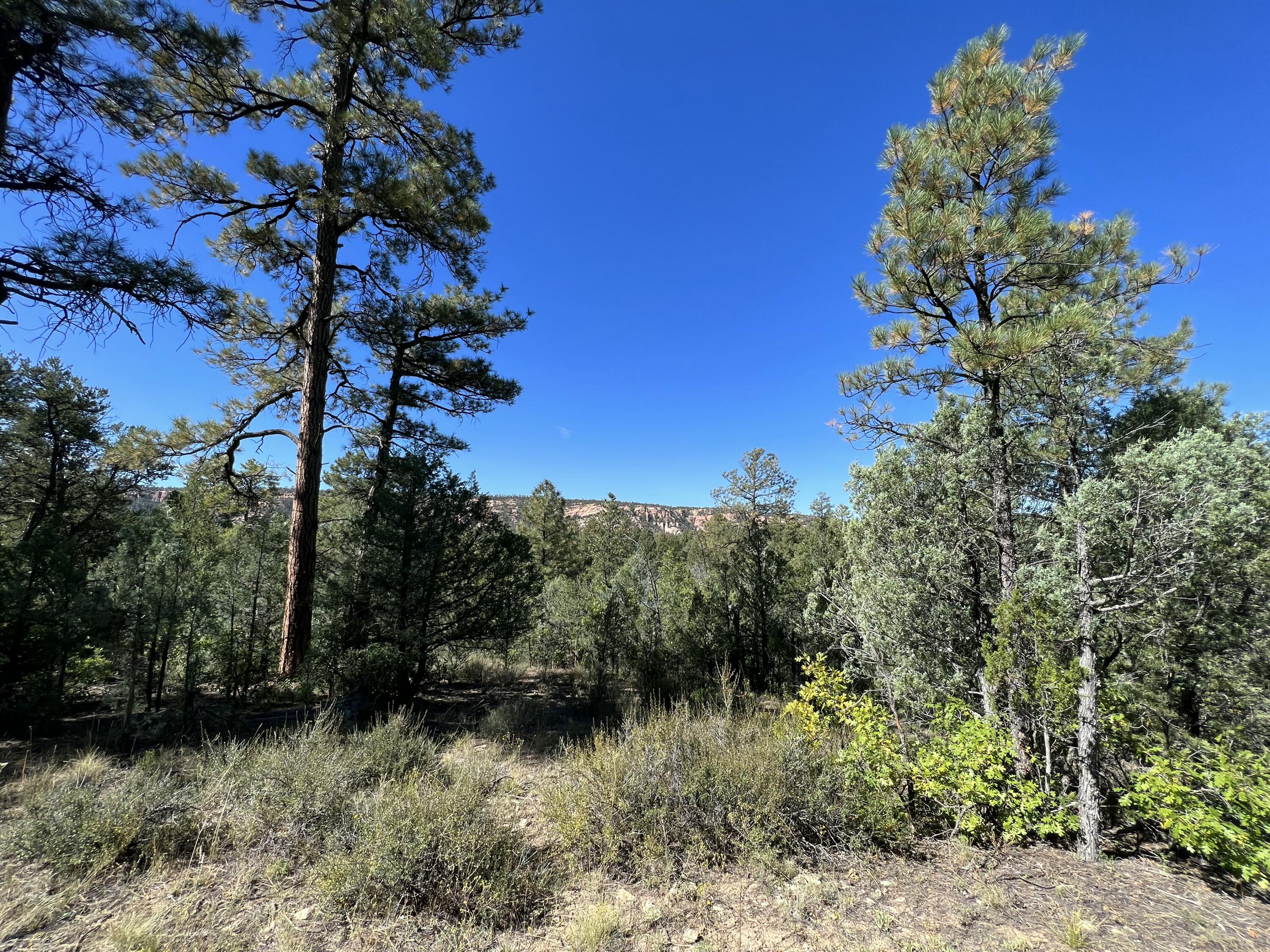 Photo 20 — 18 Quail Drive