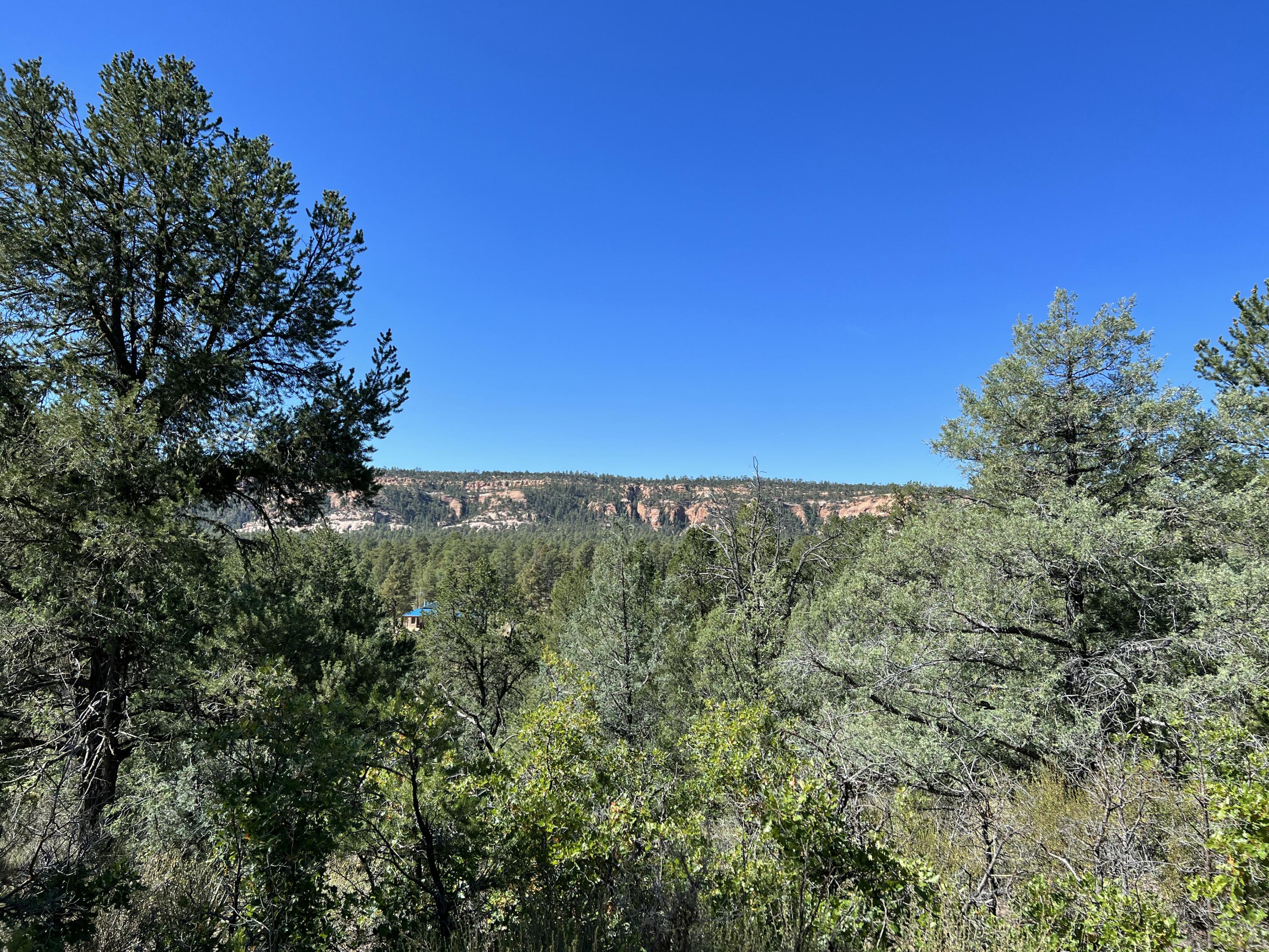 Photo 2 — 18 Quail Drive