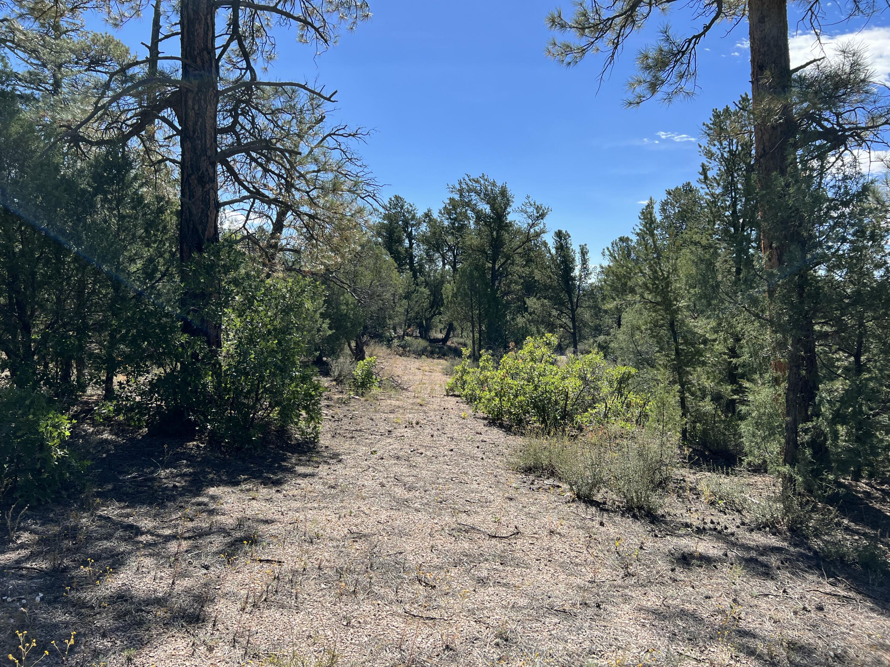 Photo 3 — 18 Quail Drive