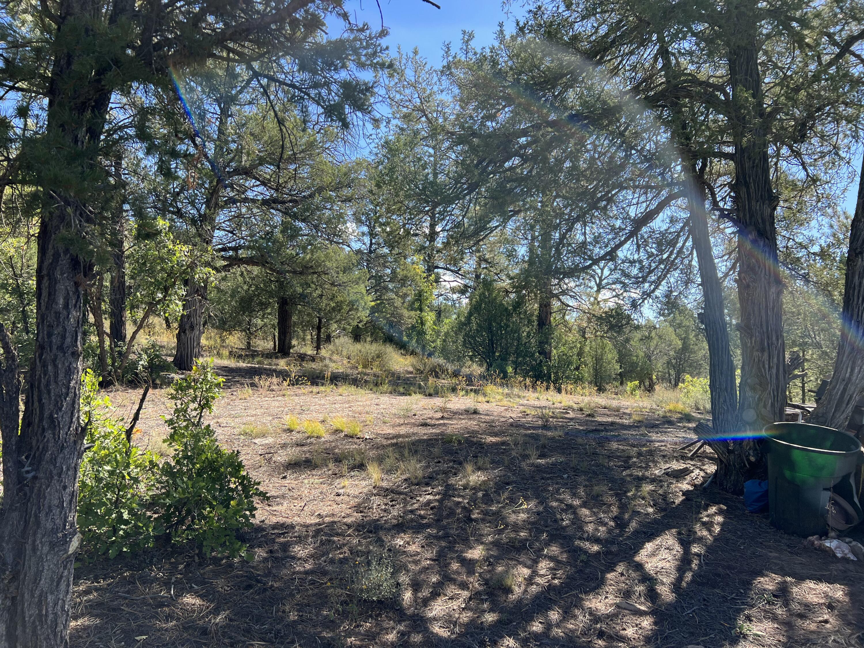 Photo 4 — 18 Quail Drive