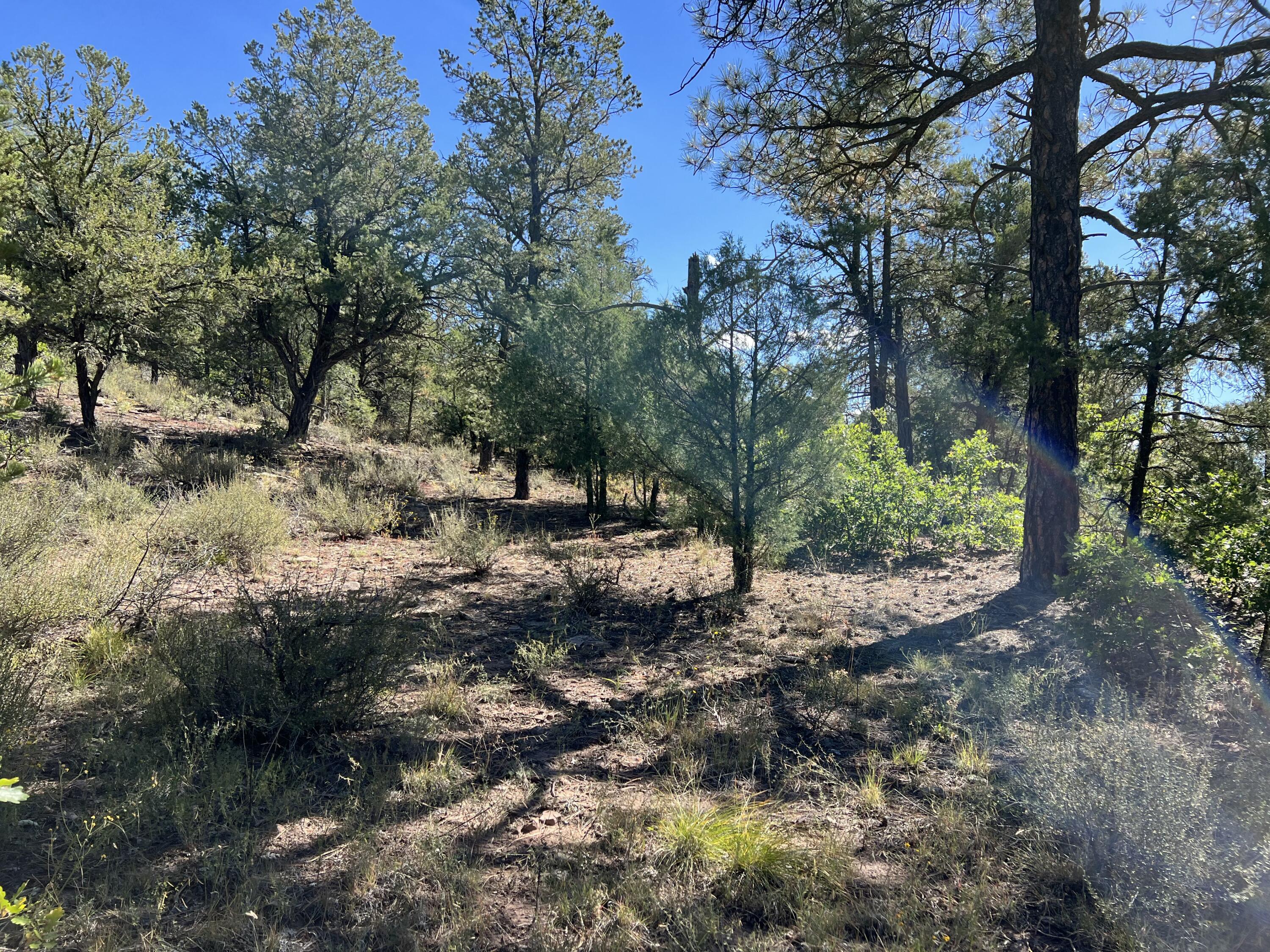 Photo 5 — 18 Quail Drive