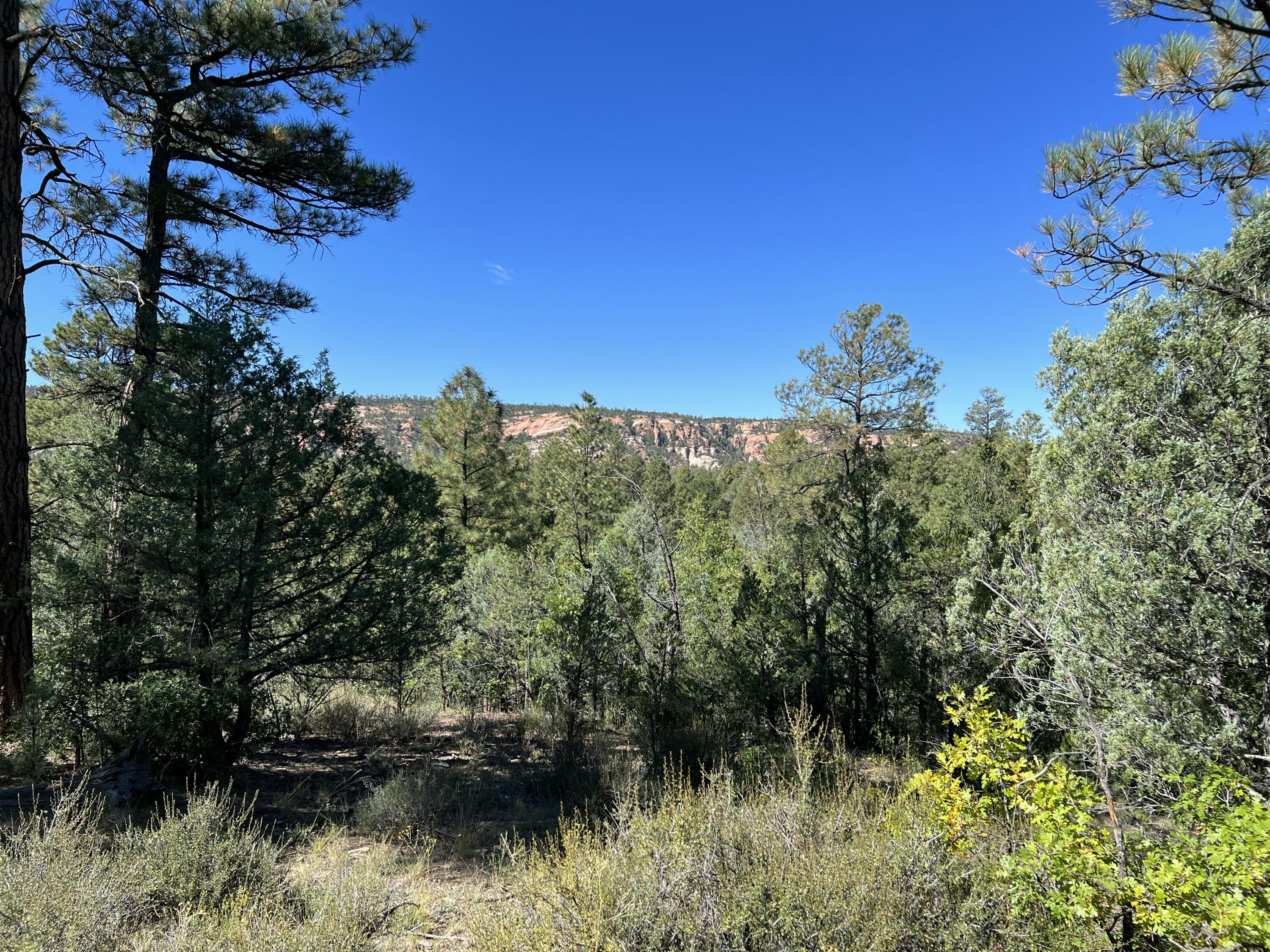 Photo 6 — 18 Quail Drive