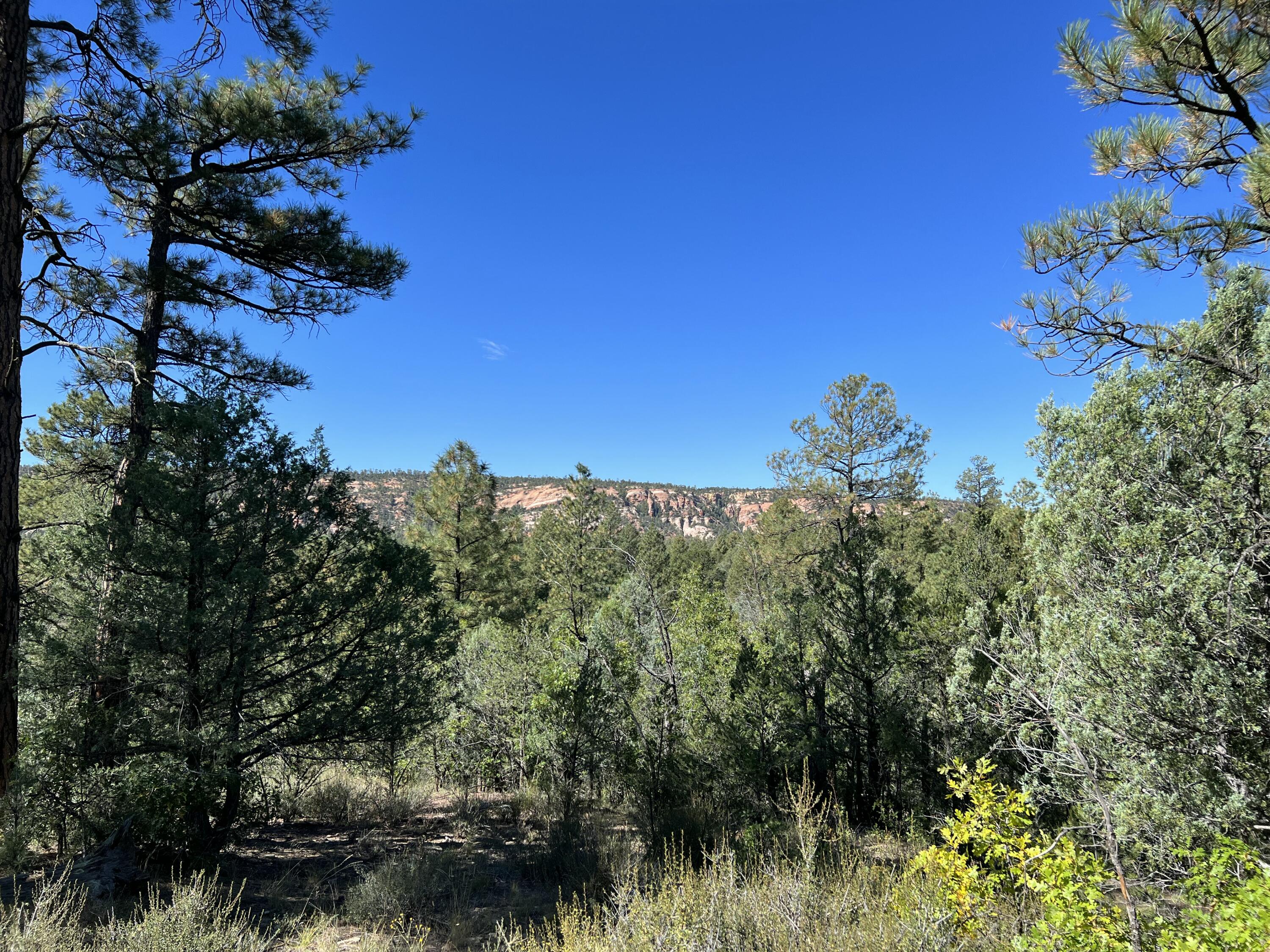 Photo 7 — 18 Quail Drive