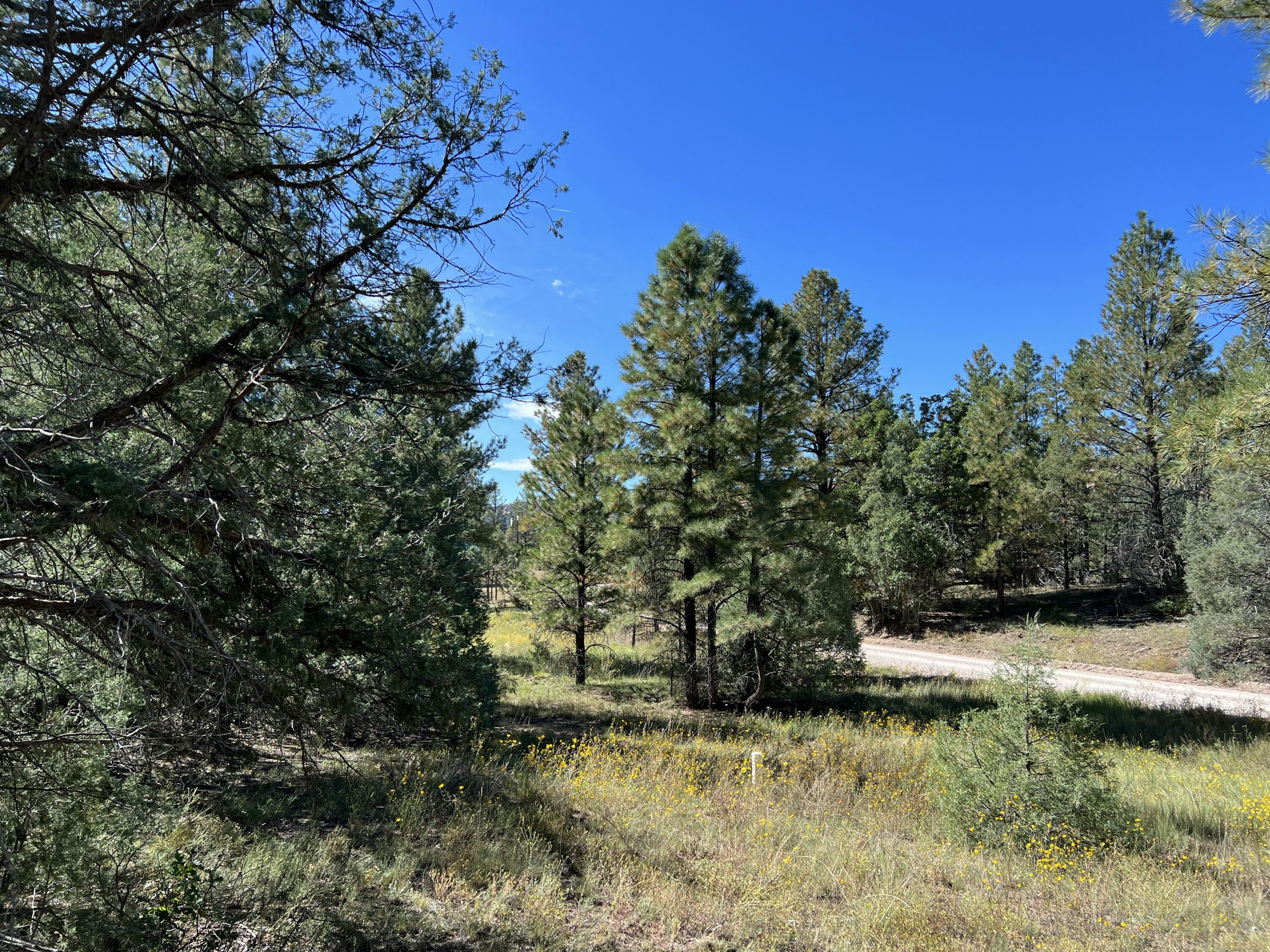 Photo 8 — 18 Quail Drive