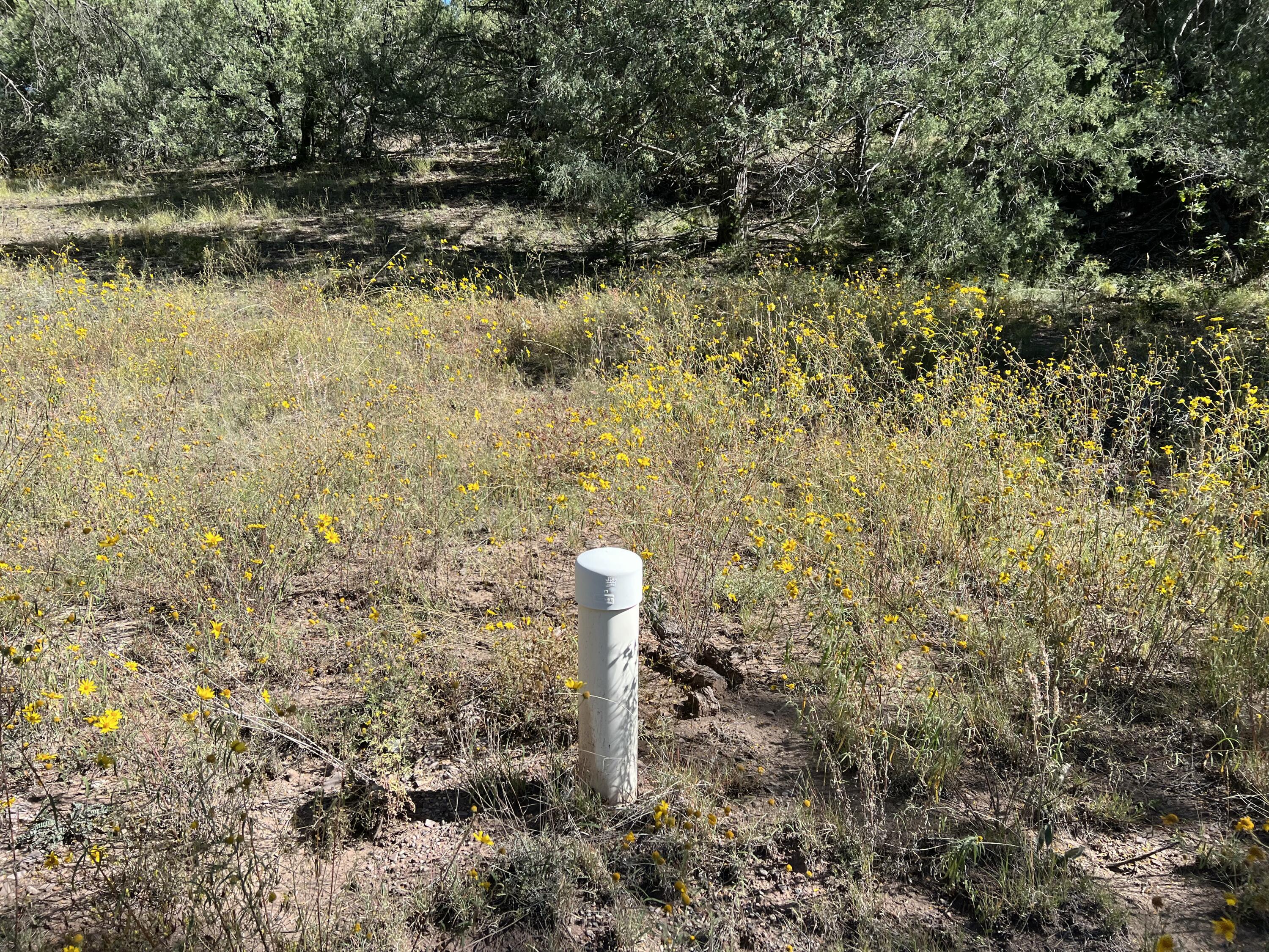 Photo 9 — 18 Quail Drive