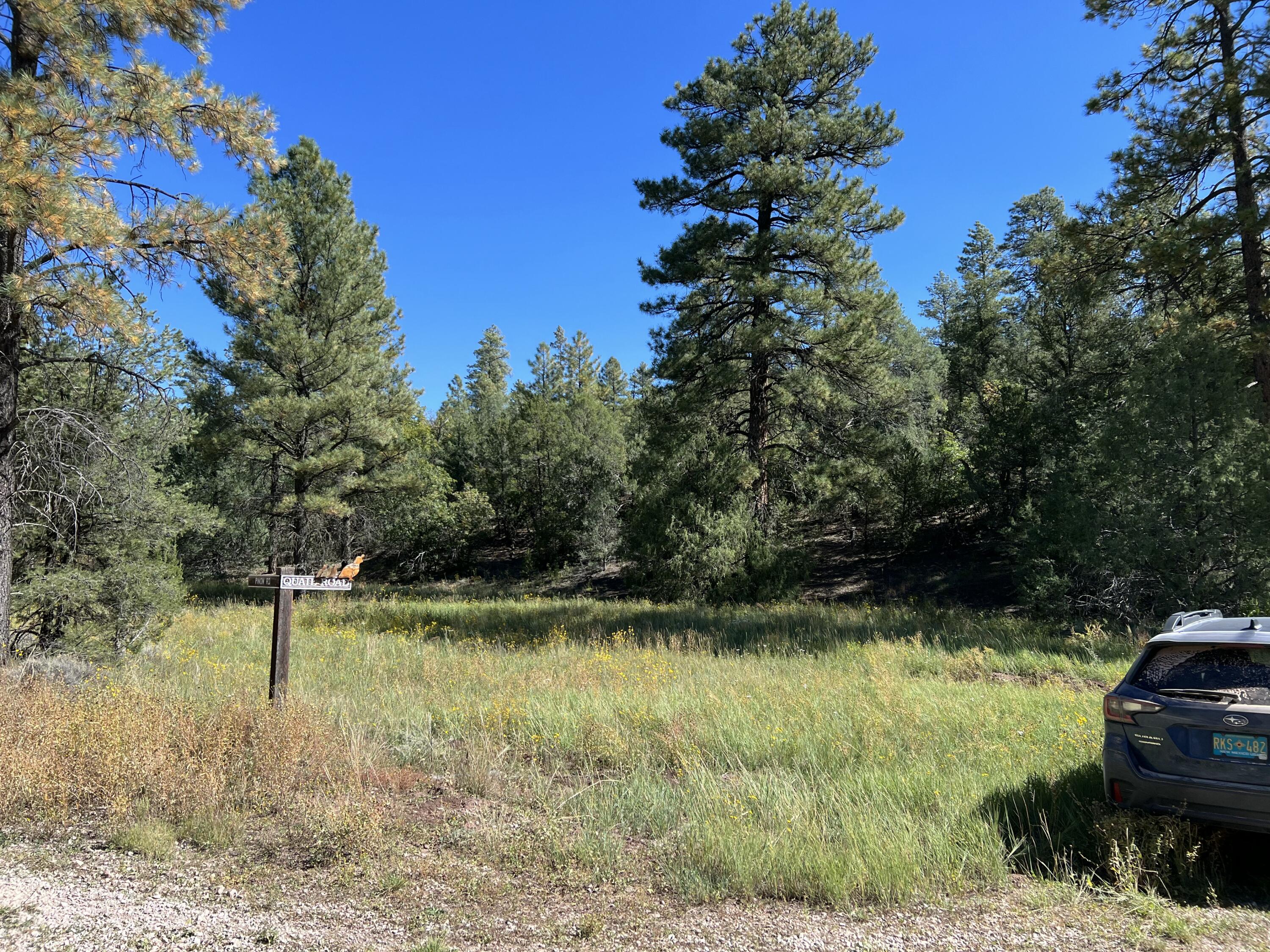 Photo 11 — 18 Quail Drive