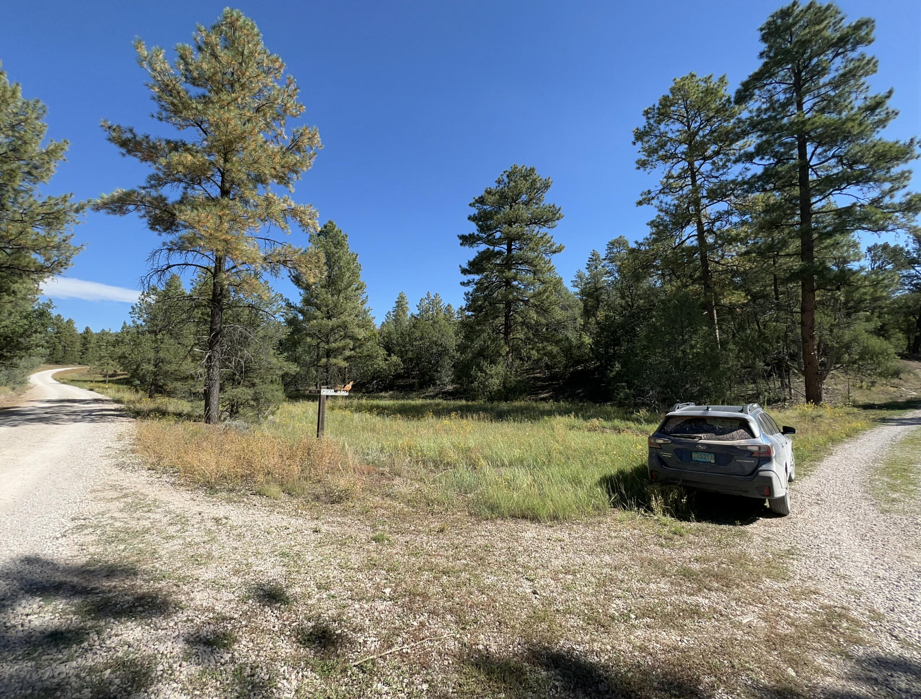 Photo 12 — 18 Quail Drive