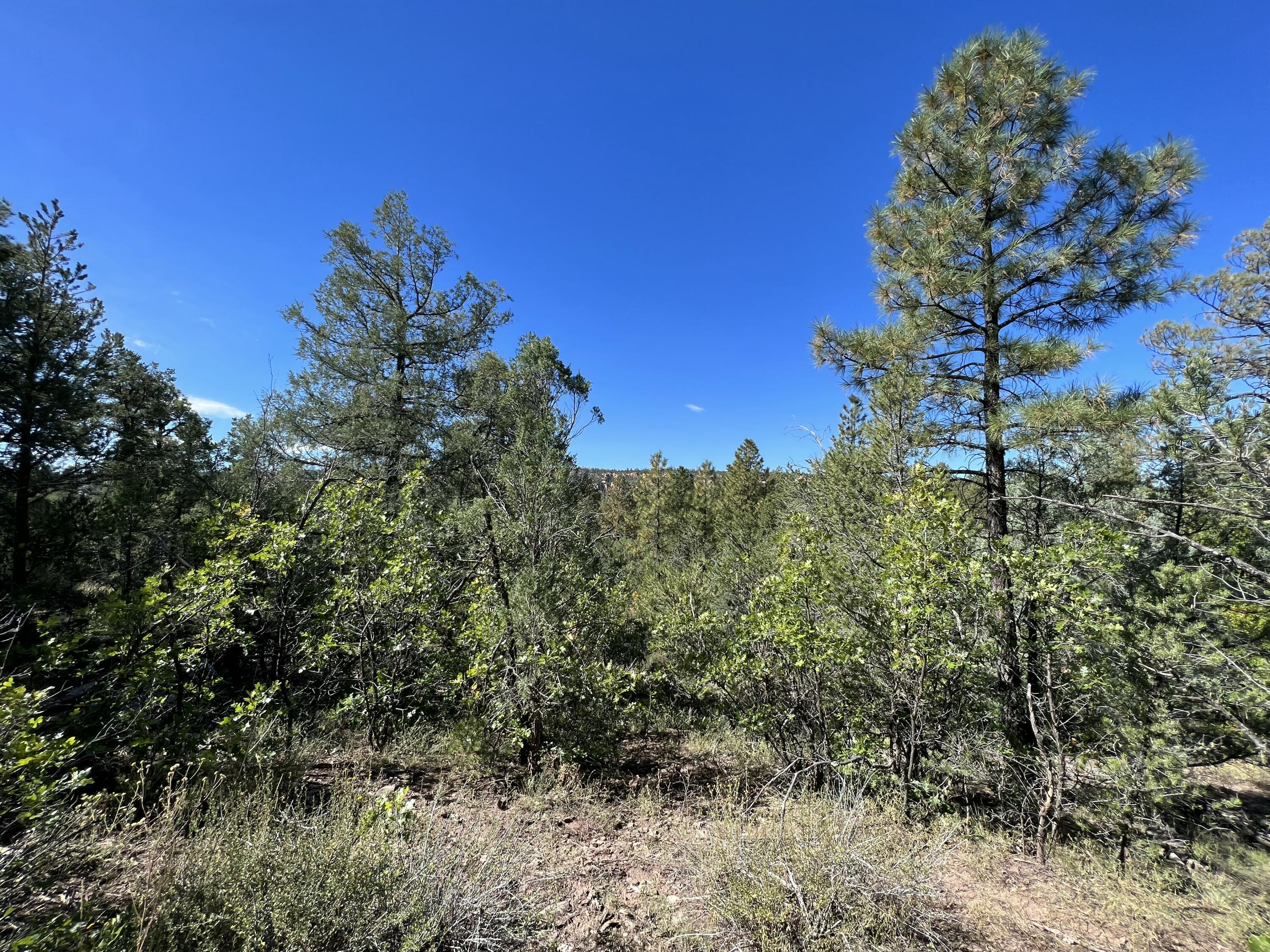 Photo 15 — 18 Quail Drive