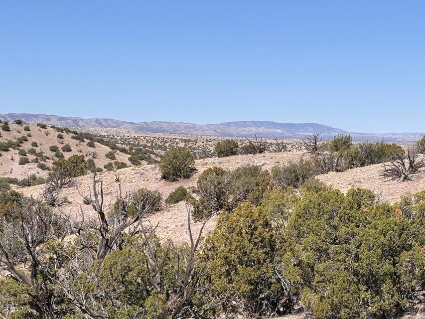 Lot 124 Abbe Springs