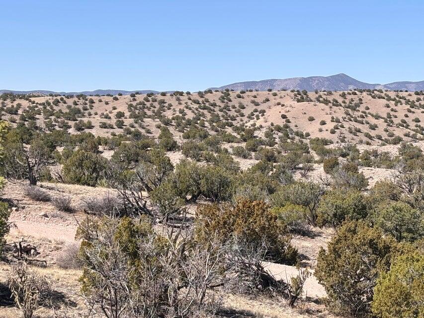 Photo 5 — Lot 124 Abbe Springs