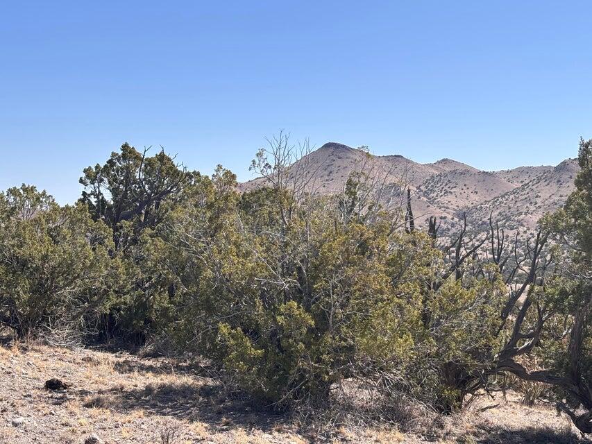 Photo 2 — Lot 124 Abbe Springs