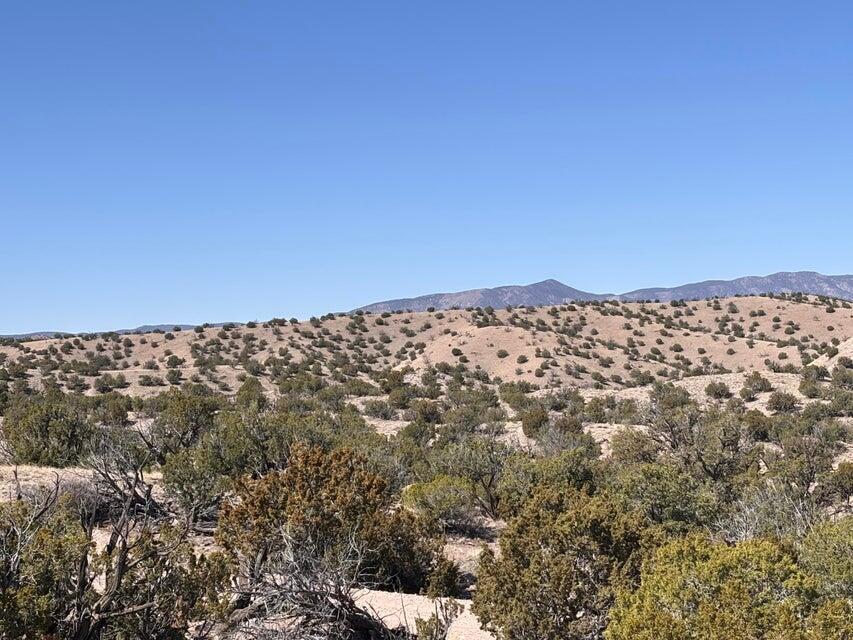 Photo 3 — Lot 124 Abbe Springs