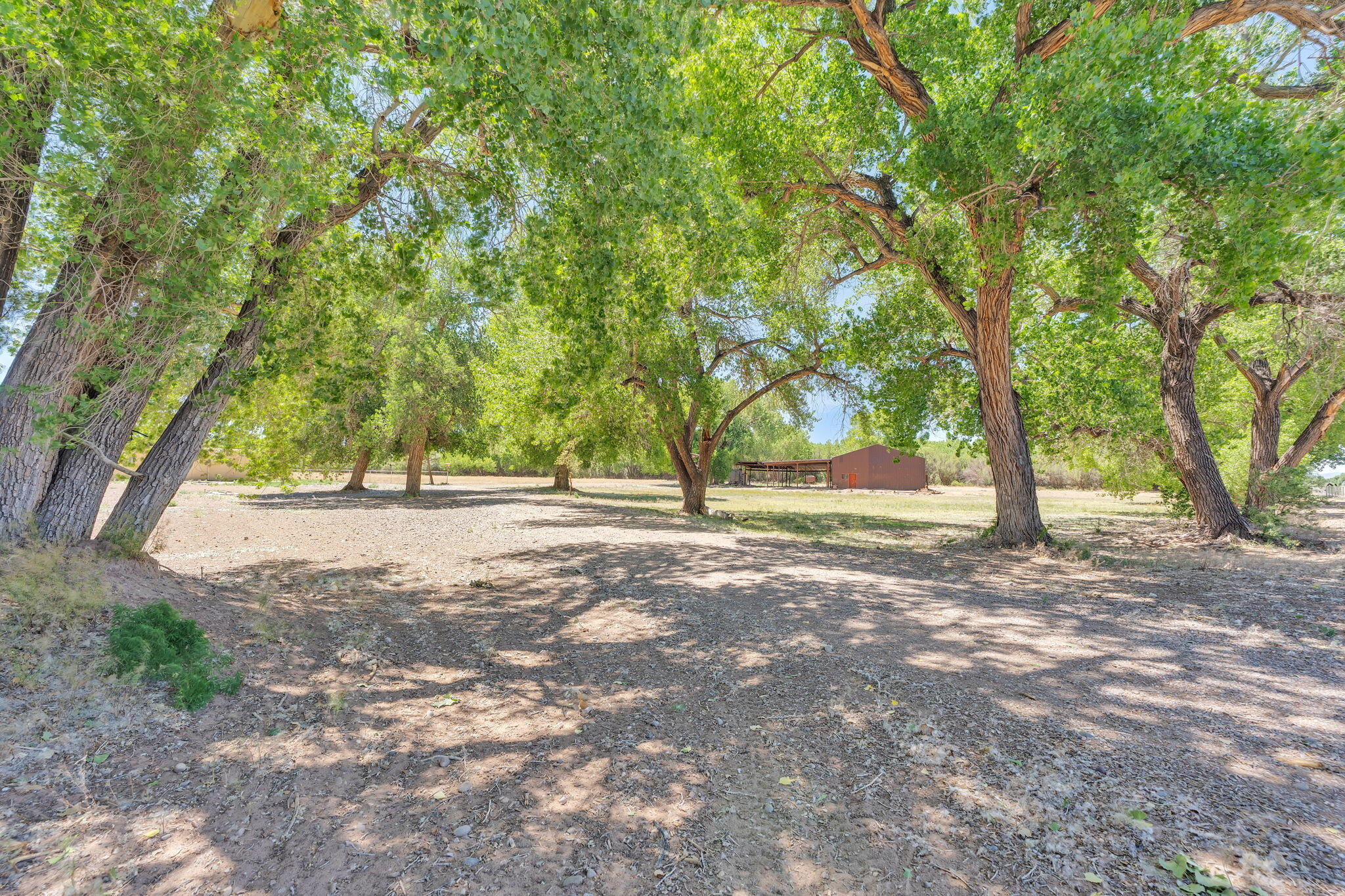 Photo 9 — 22 Paizalas Drive