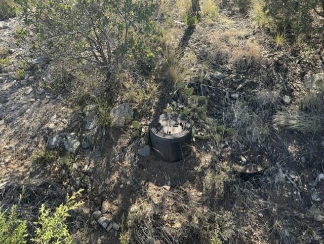 Photo 2 —  Fire Break Road