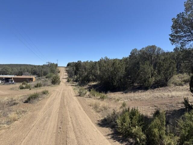 Photo 3 —  Fire Break Road