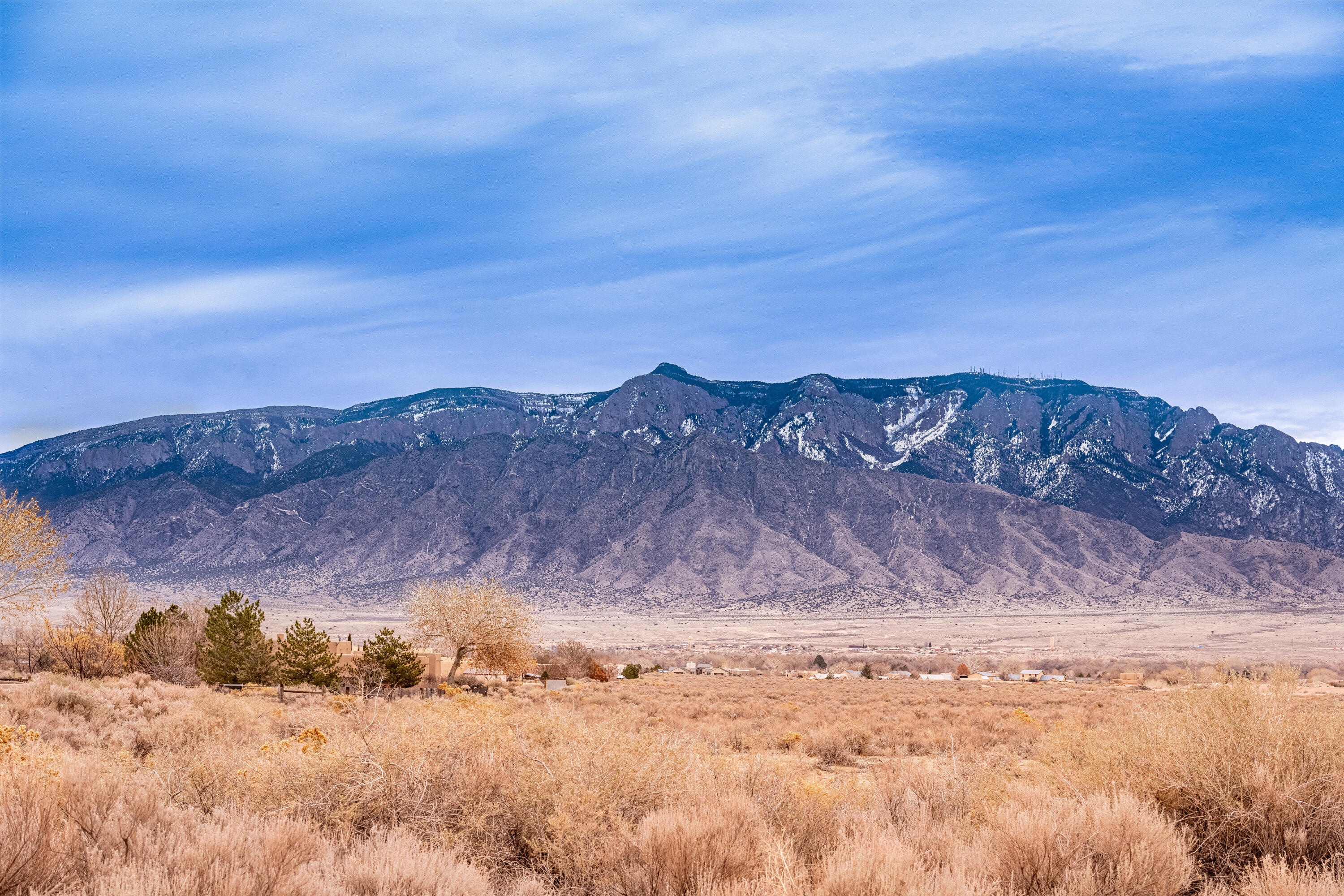 00 Don Julio, Corrales, NM 87048