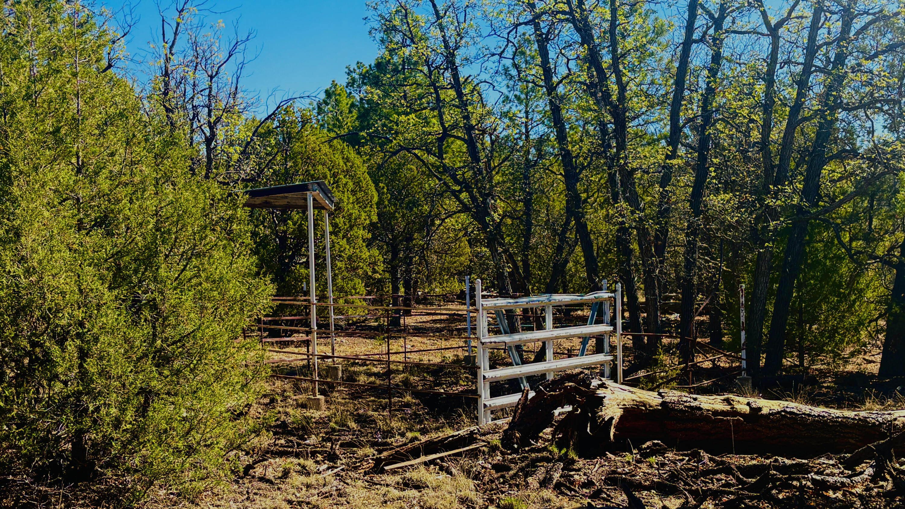 Photo 10 — 7889 Zuni Cyn Road