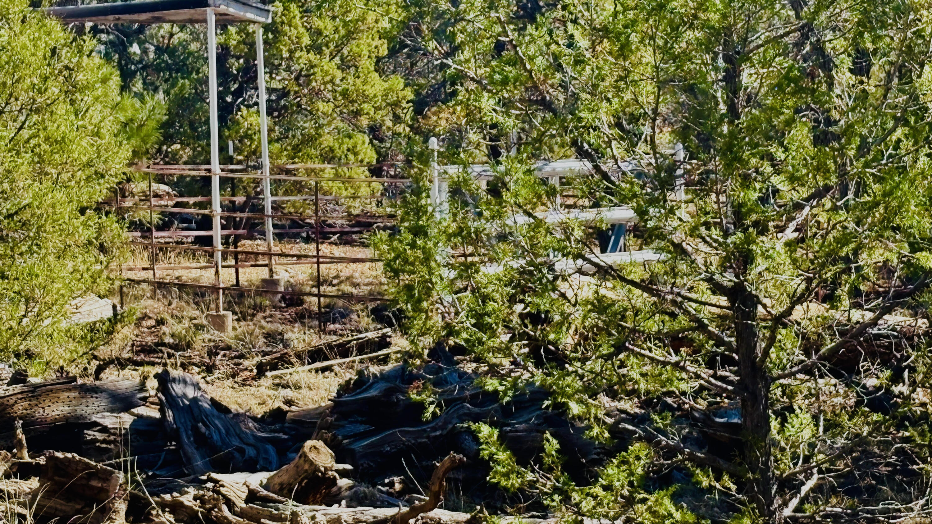 Photo 11 — 7889 Zuni Cyn Road