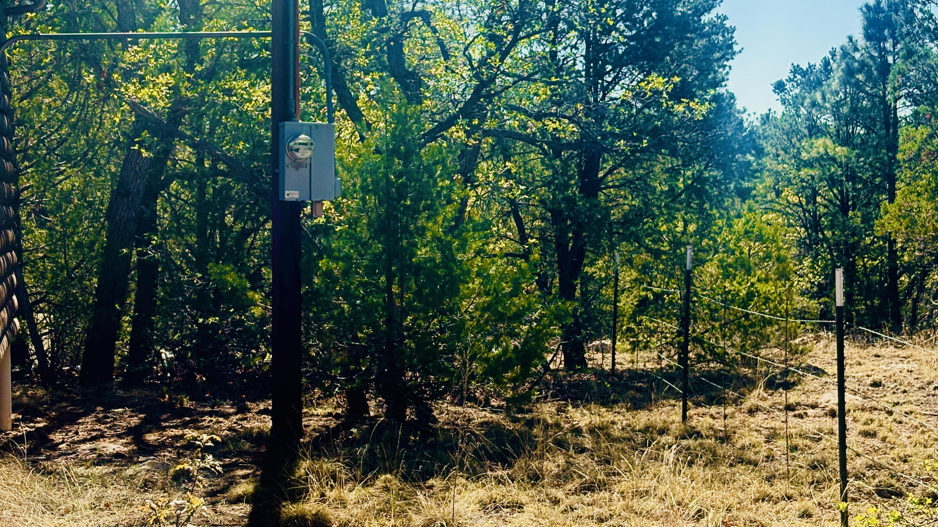 Photo 19 — 7889 Zuni Cyn Road