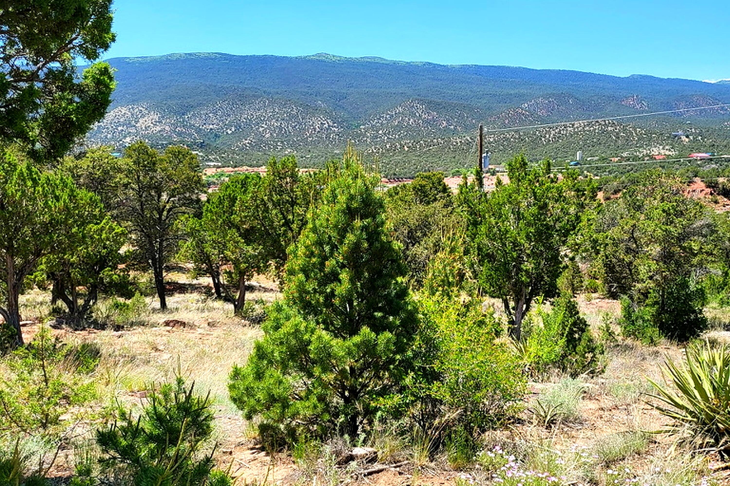 Photo 9 — 42 Calle Conejo Road