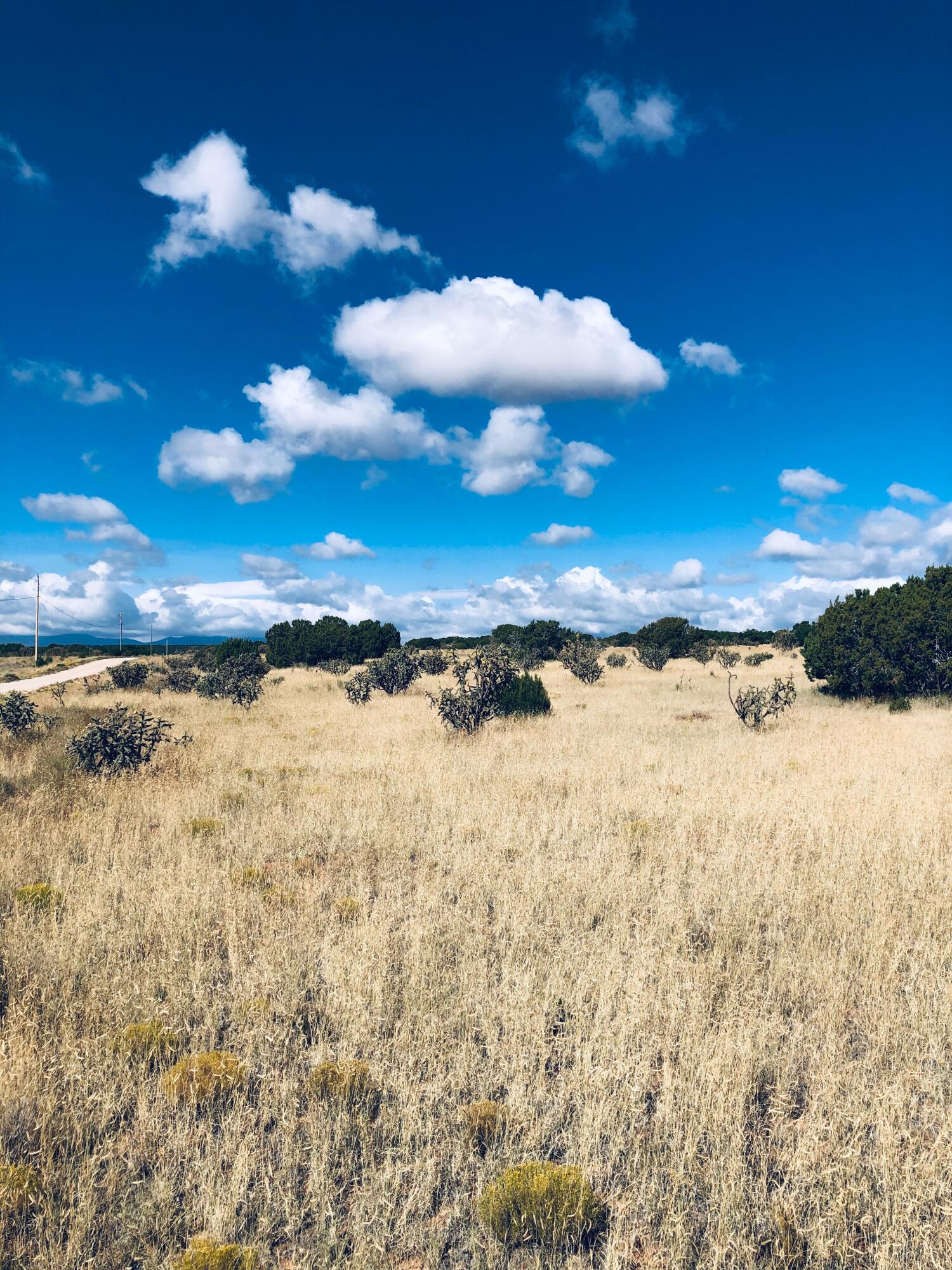 Photo 5 —  Mission Hills Lot 10