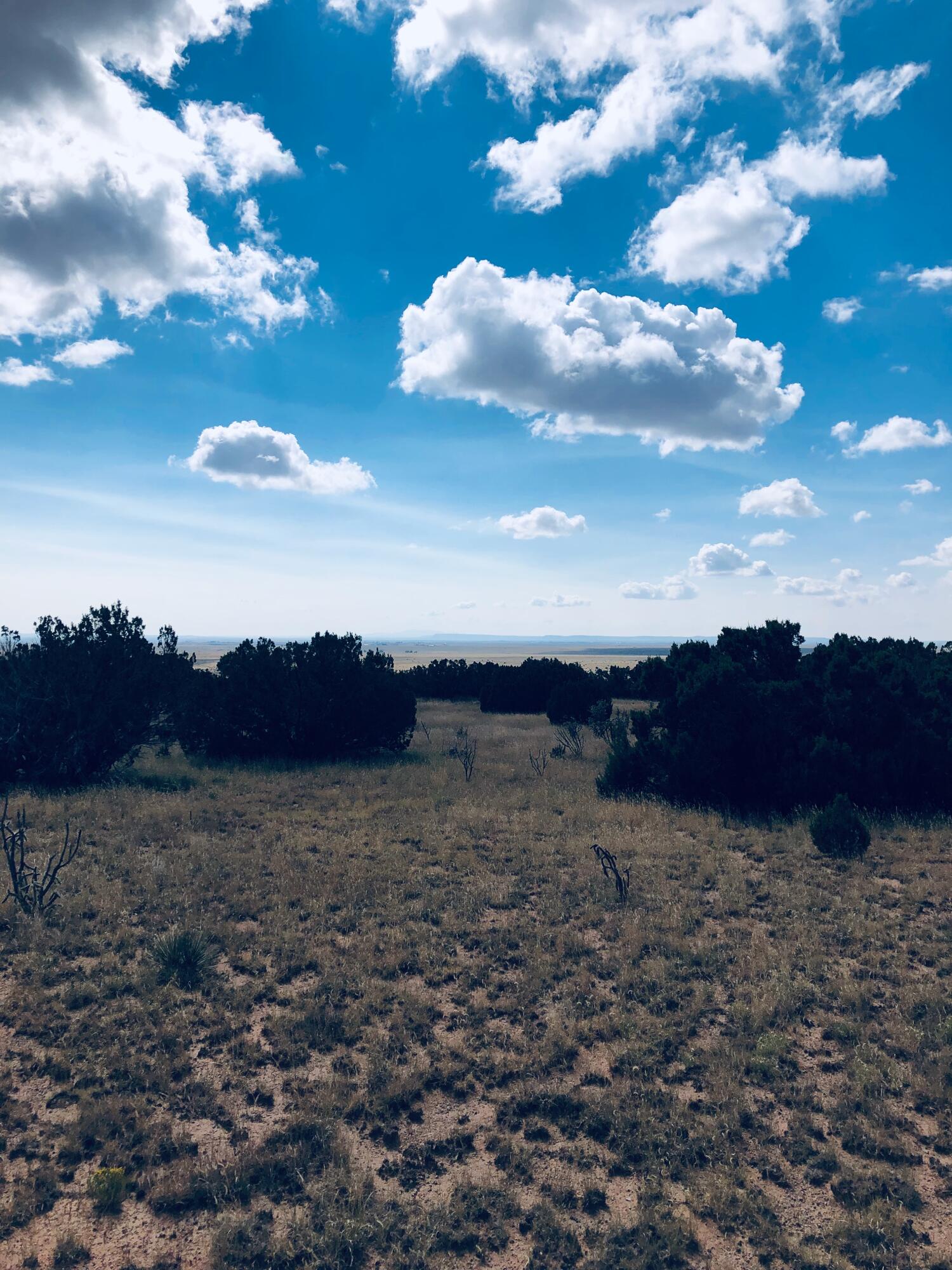 Photo 4 —  Mission Hills Lot 10