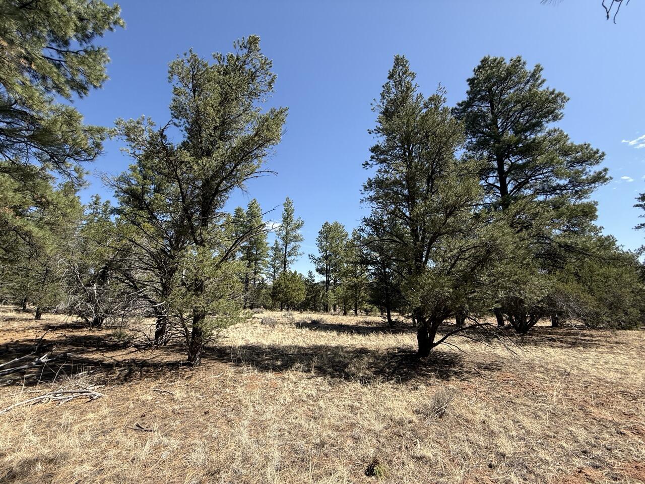 Photo 2 — 823 Timberlake Road