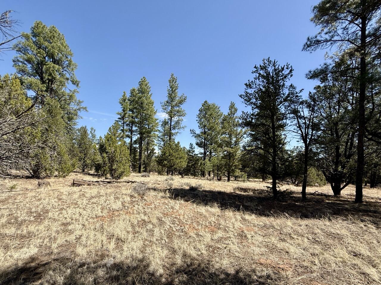 Photo 3 — 823 Timberlake Road