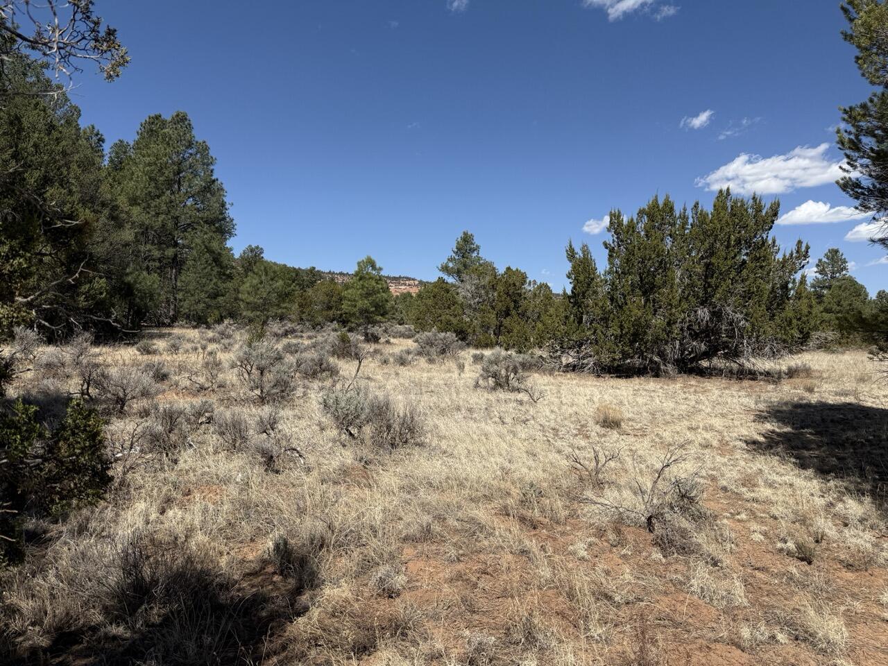 Photo 7 — 823 Timberlake Road