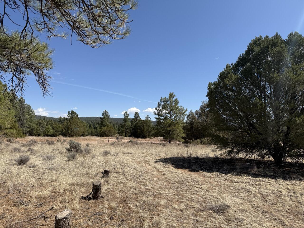 Photo 9 — 823 Timberlake Road