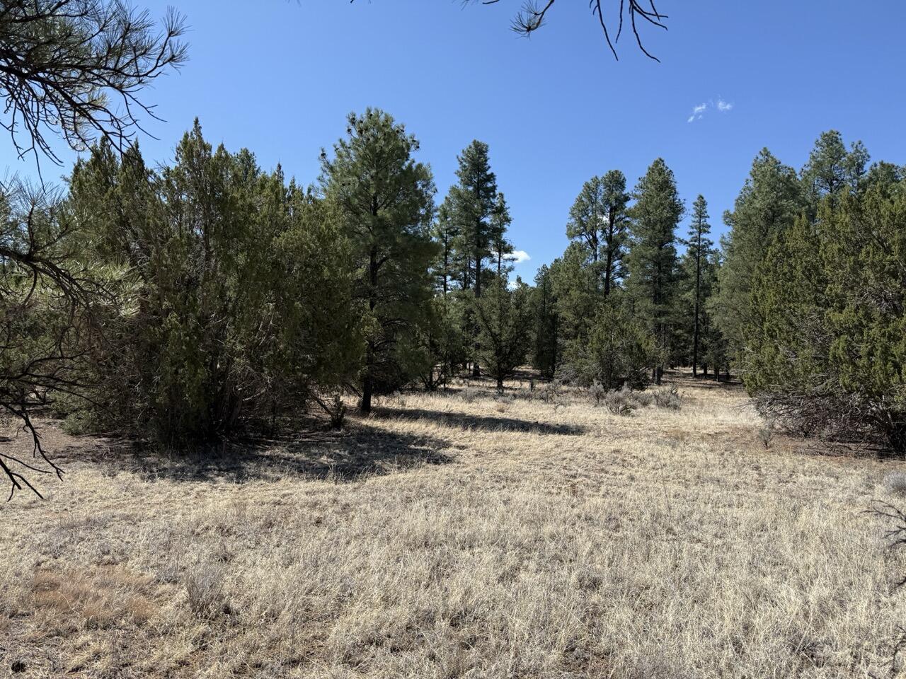 Photo 11 — 823 Timberlake Road