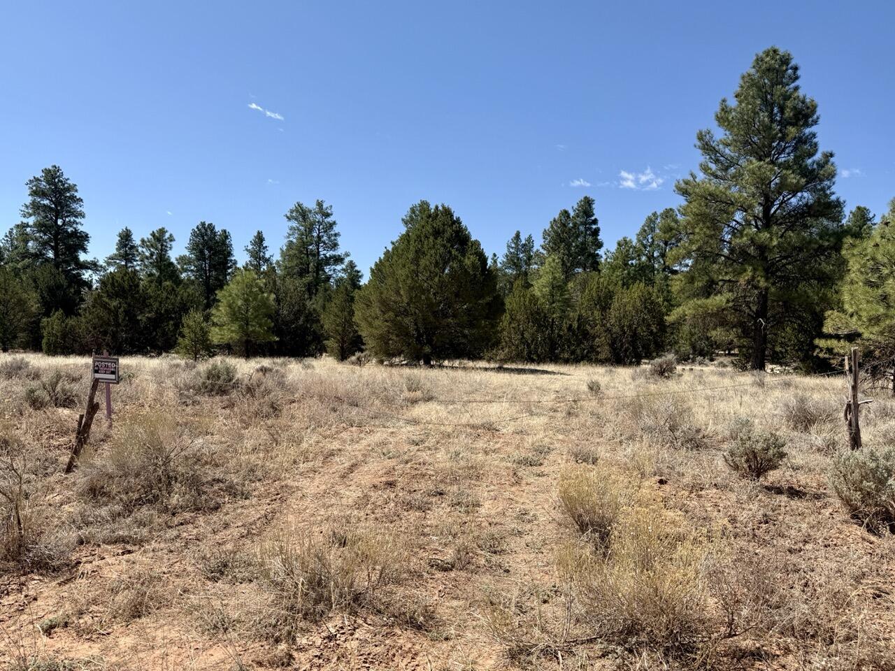 Photo 20 — 823 Timberlake Road