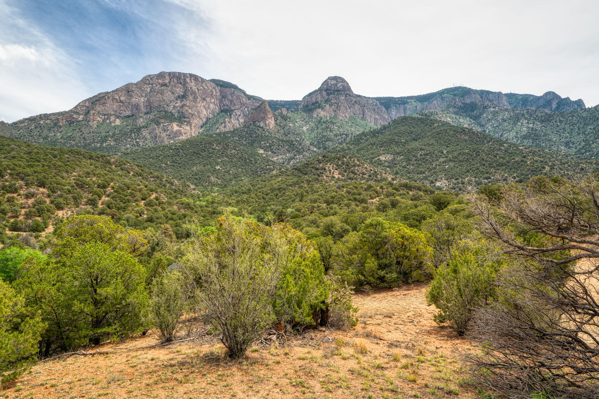  Crest View Trail NE, Albuquerque, NM 87122