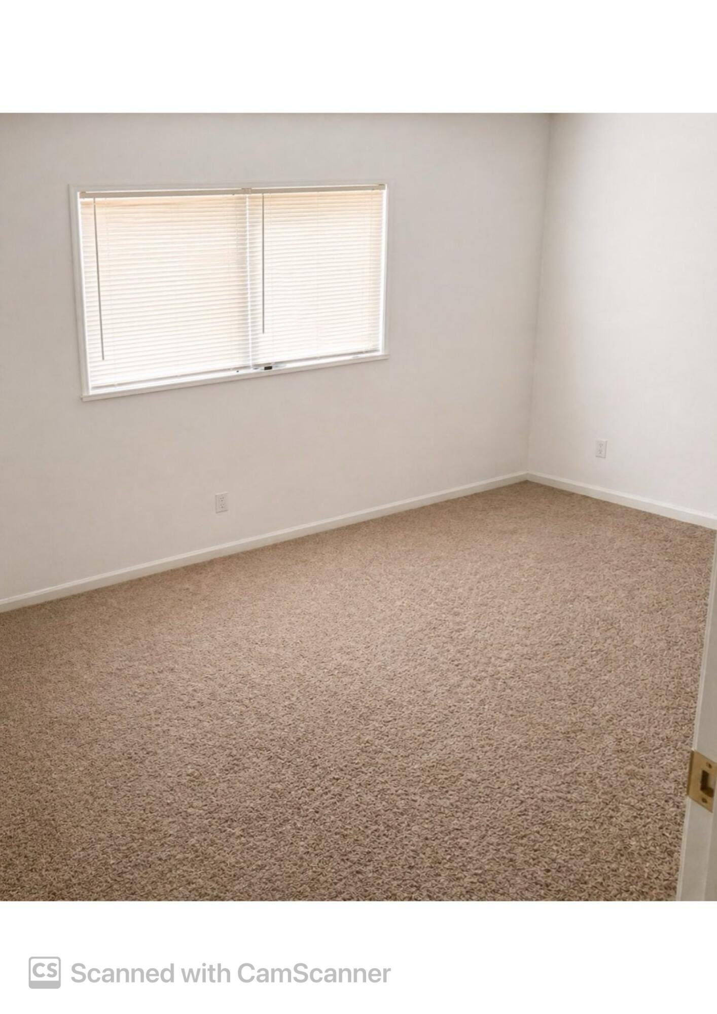 Photo 4 — 700 Liles Street